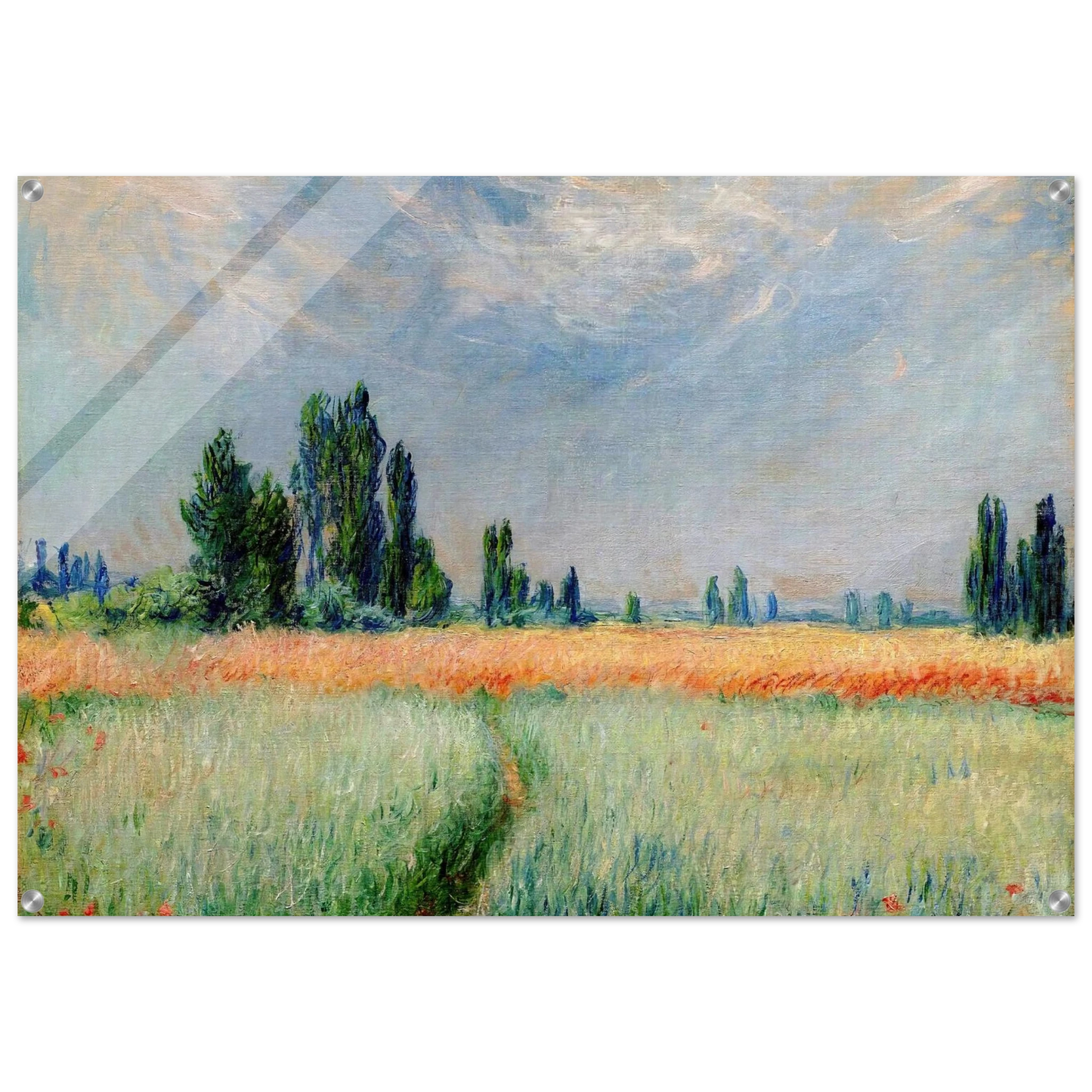 245d44b1-2b92-4efd-a1b8-d055d0369c8a