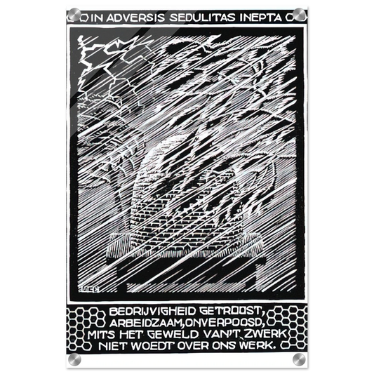 27d1a3c5-6f49-4450-bd38-278de4e4bf54