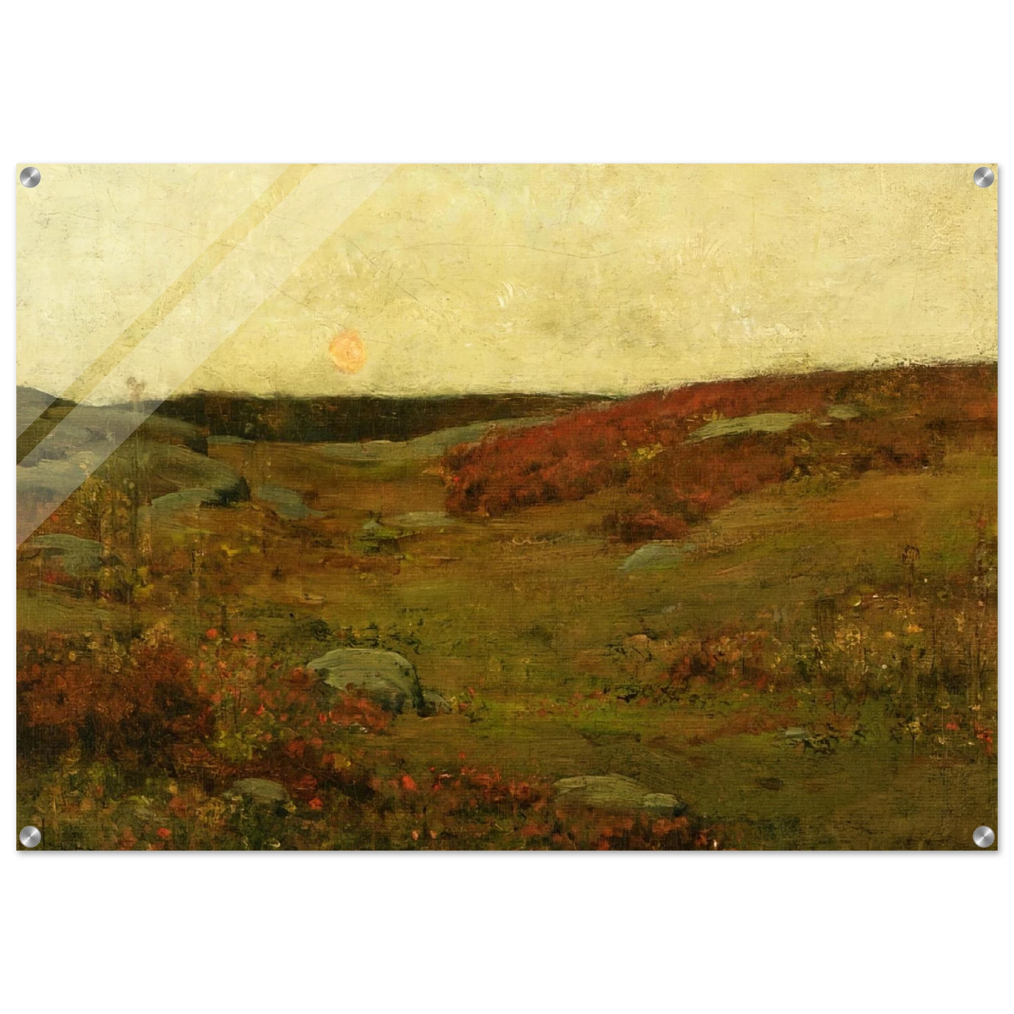 2826da43-e6ae-4cb4-856b-5f3a9be44f06