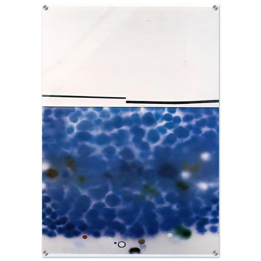 28999593-110f-4a81-ae96-a4457ed36fa5