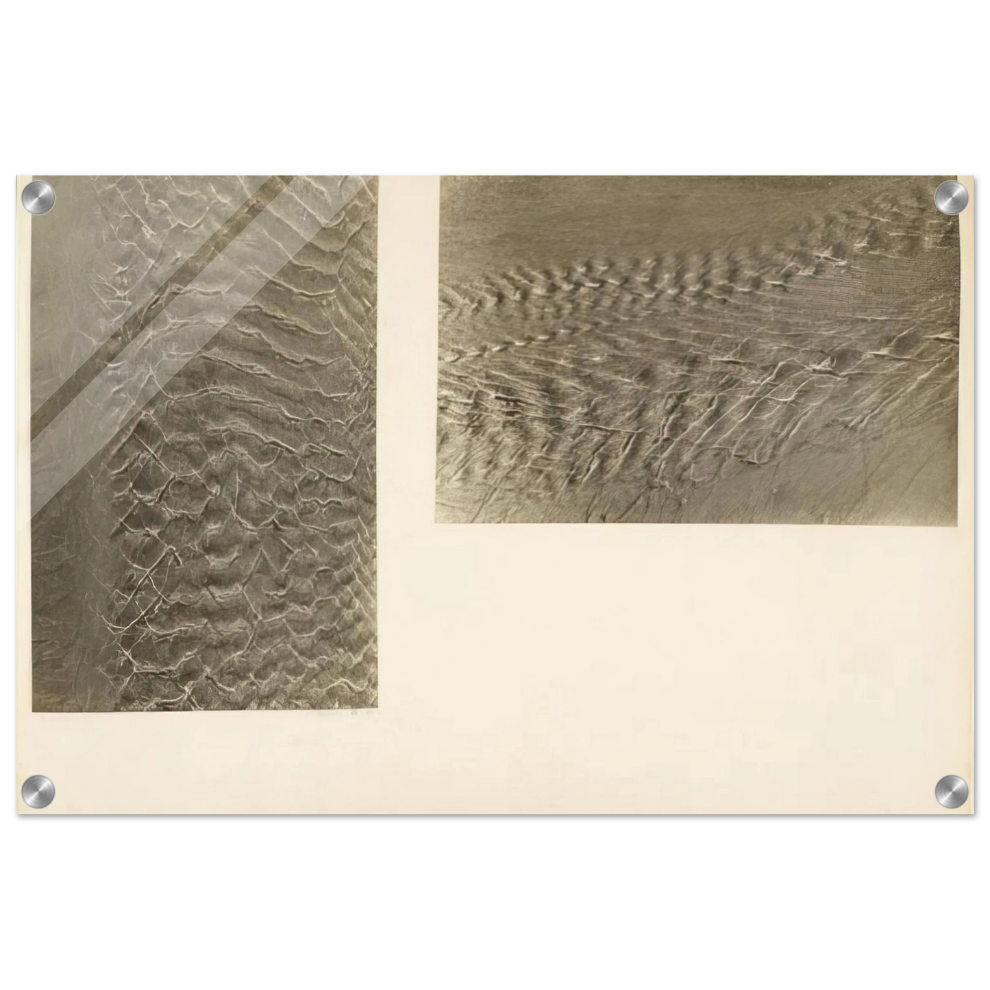 2cc0ee55-0c98-4508-8969-0f8ff1678b45