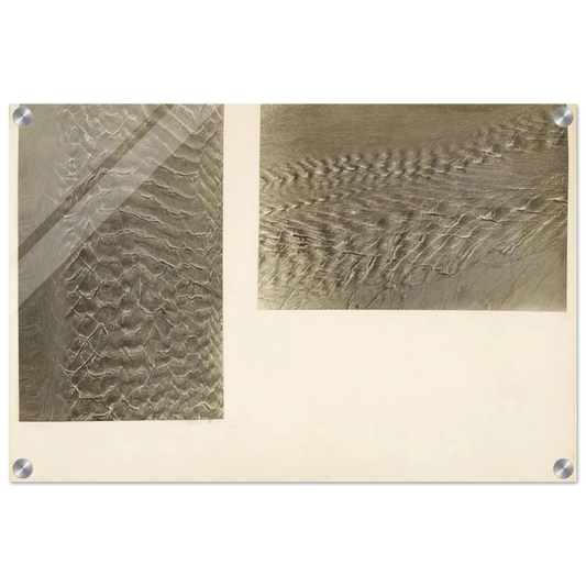 2cc0ee55-0c98-4508-8969-0f8ff1678b45