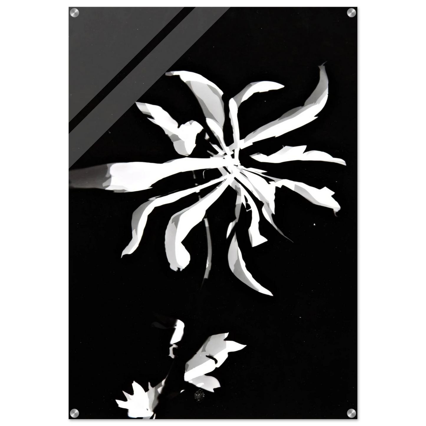 2cc9fd13-826e-4f4d-97fb-0327c10709b5