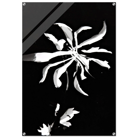 2cc9fd13-826e-4f4d-97fb-0327c10709b5