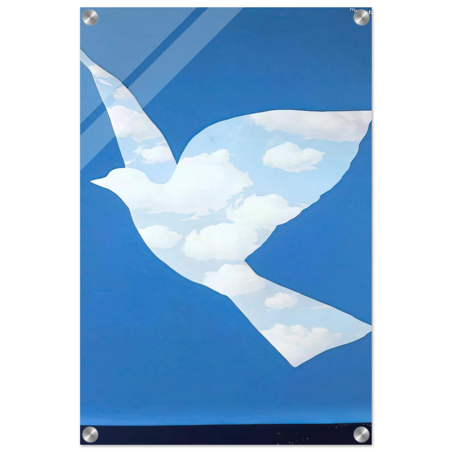 2daca879-5b11-42b8-a10d-cc6879e5ffad