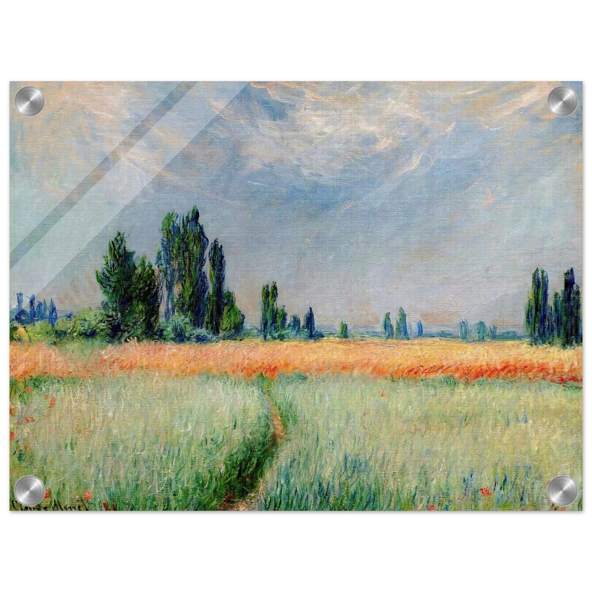 303413df-c443-474f-9d63-3214d2d7bd6c