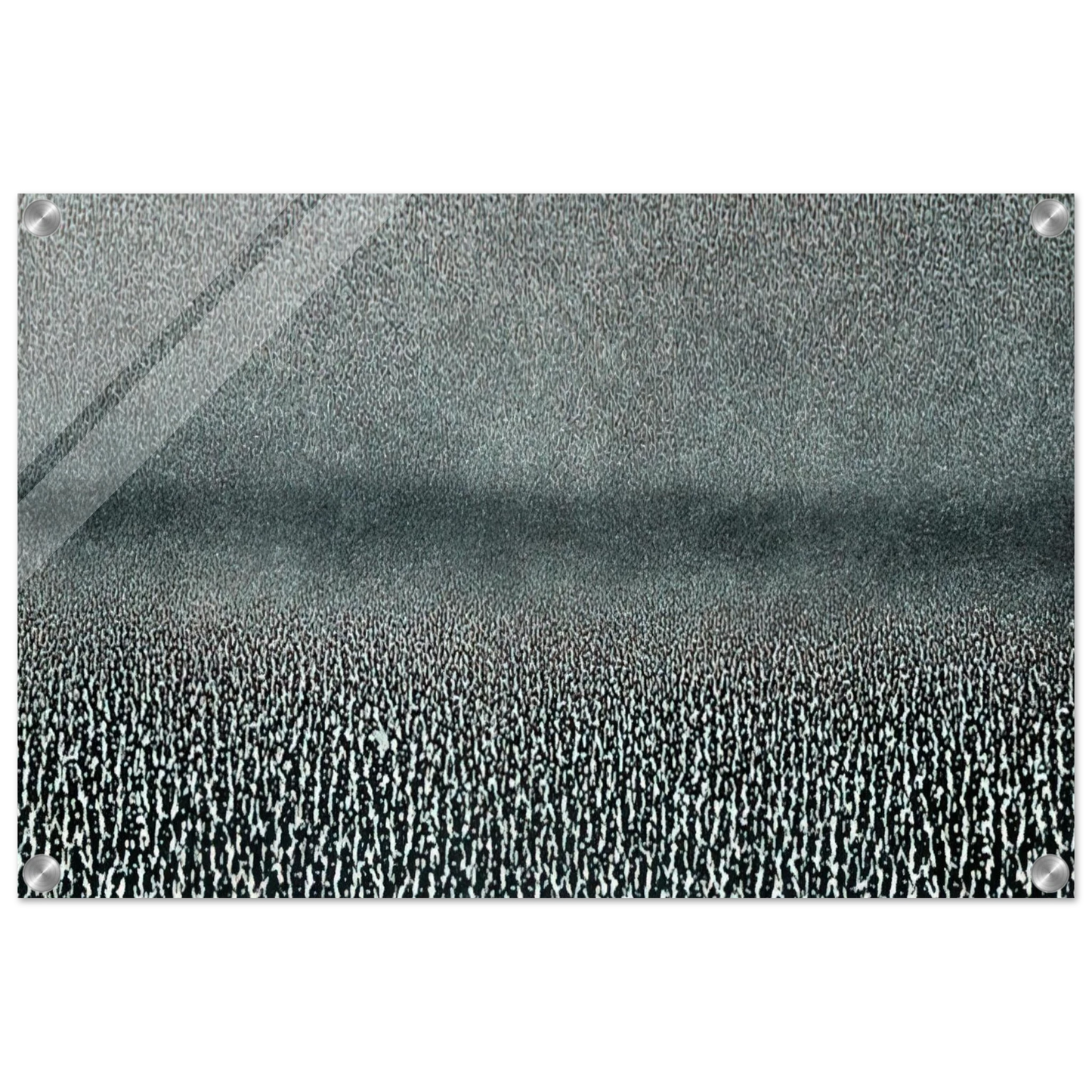 31316284-0990-416f-bf02-b7eb9b079f62