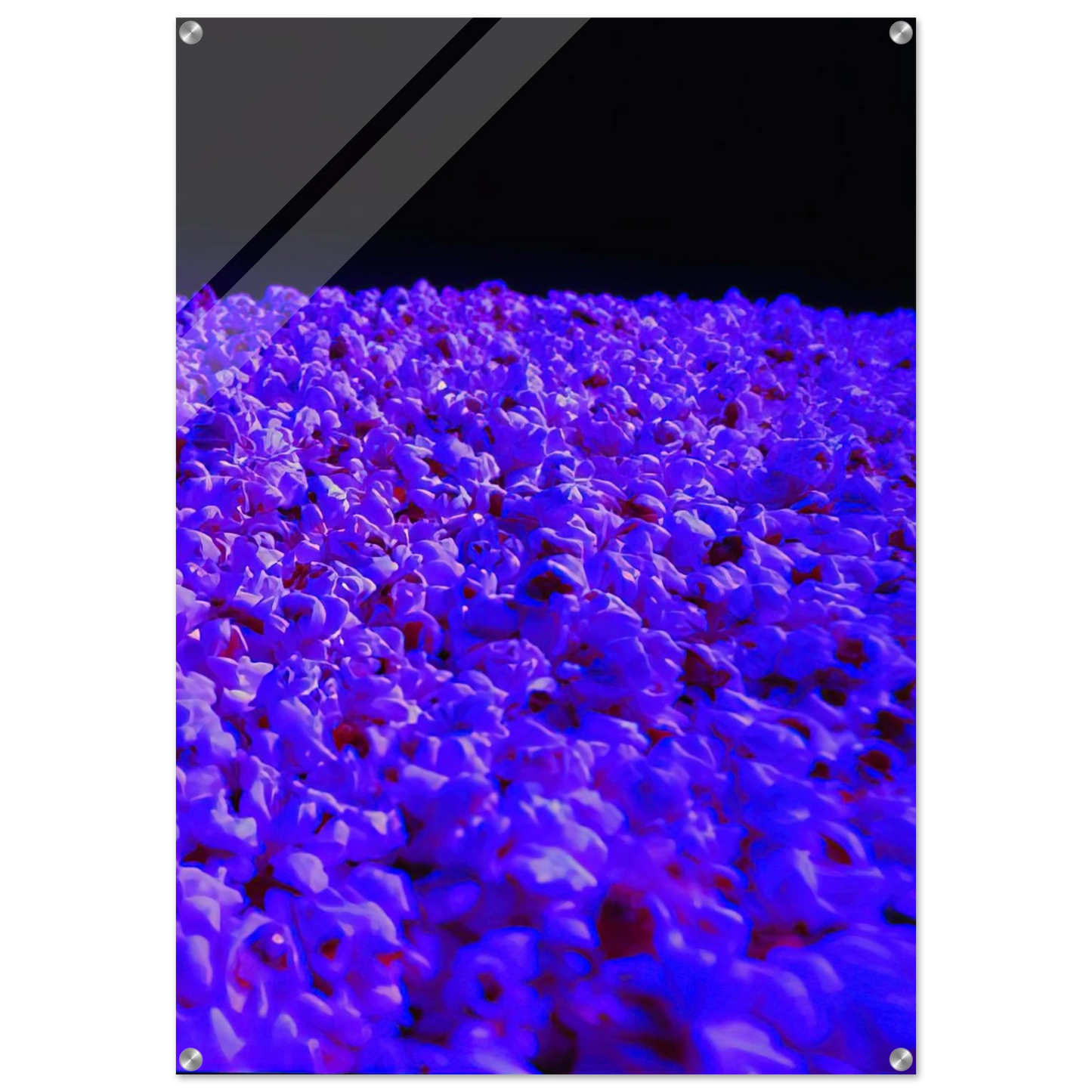 34ba5d82-8355-4cf2-8bfc-2e31cd288be1