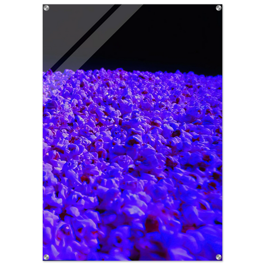 34ba5d82-8355-4cf2-8bfc-2e31cd288be1