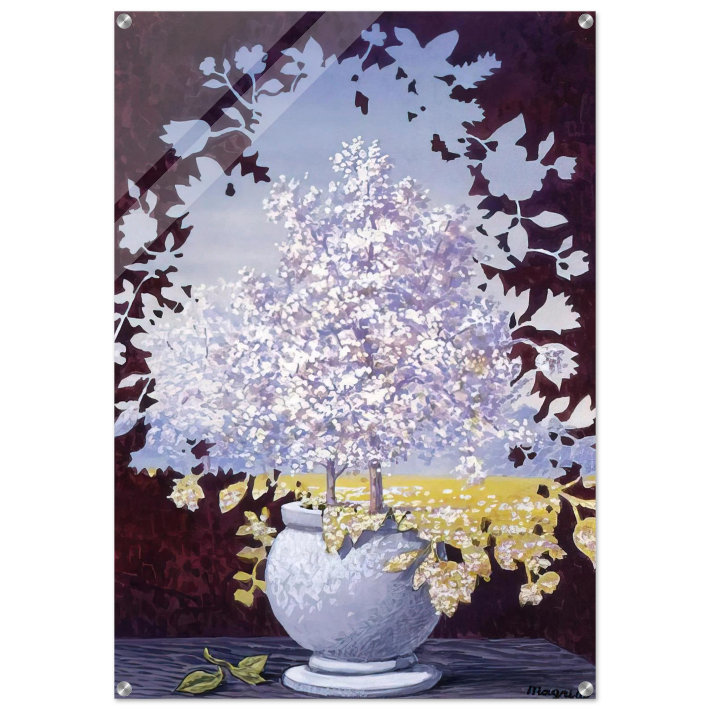 34c00c1a-d7b2-49de-9f8d-d63e4bbd01bc