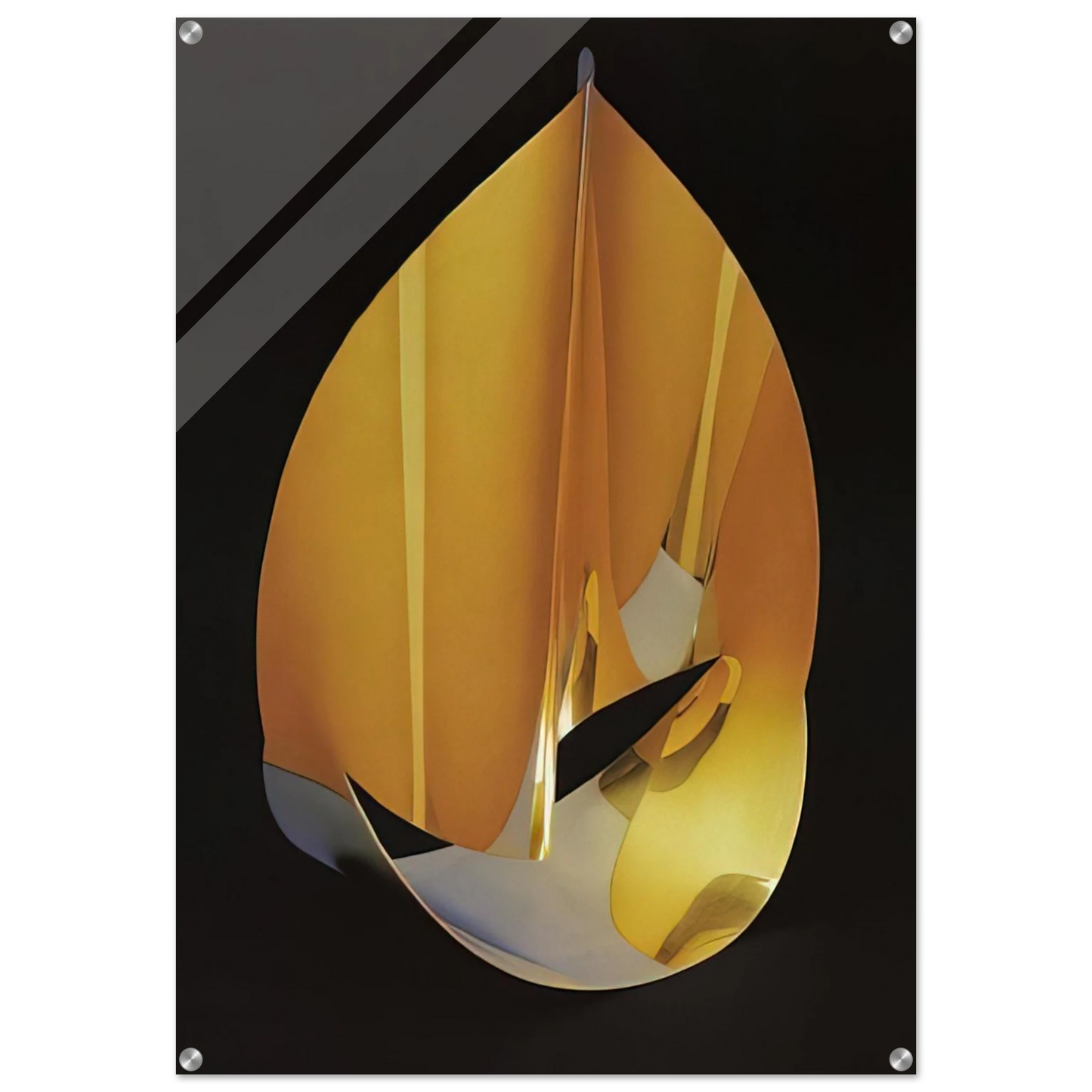 37cbbcfe-adef-4354-b429-02b543bdd6c3