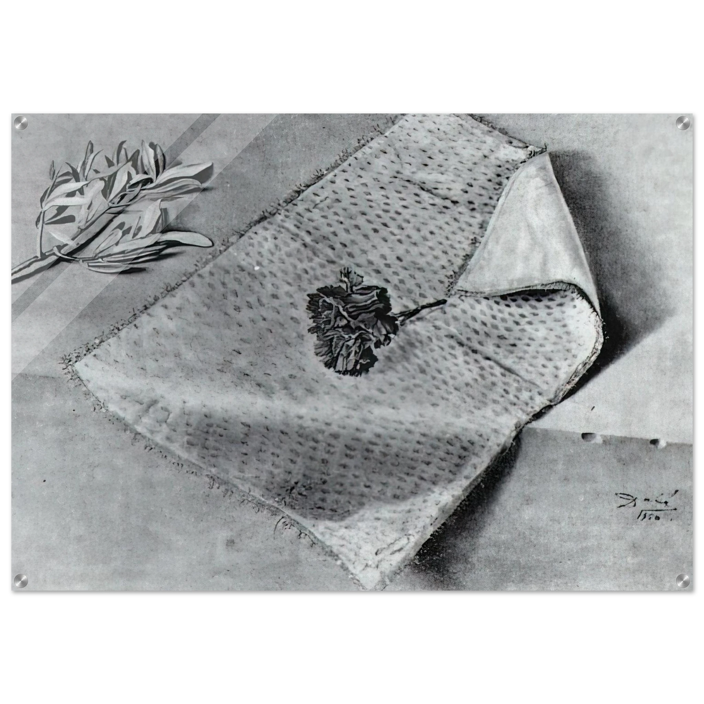 38142fc8-cf6e-4b46-a1e4-78b5818ae932