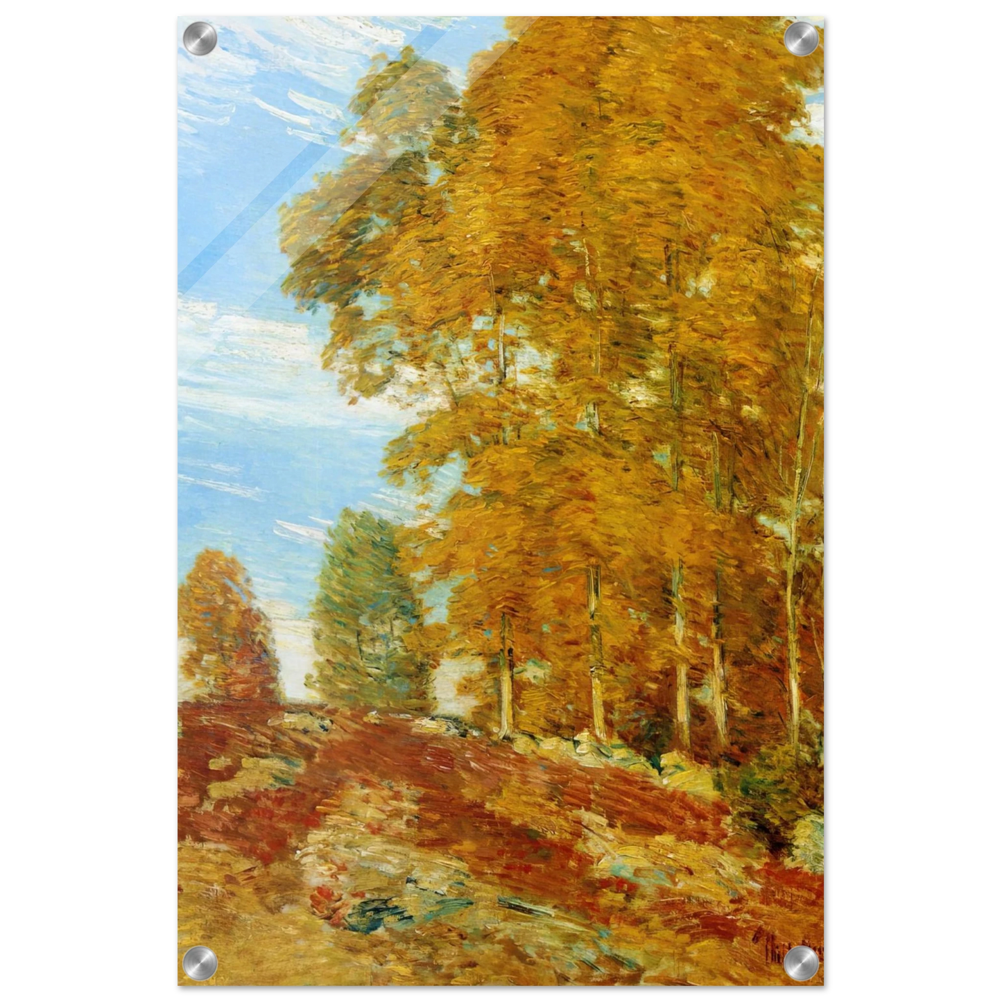 38ac45cb-40d8-4ca8-9443-425c40f2aab5