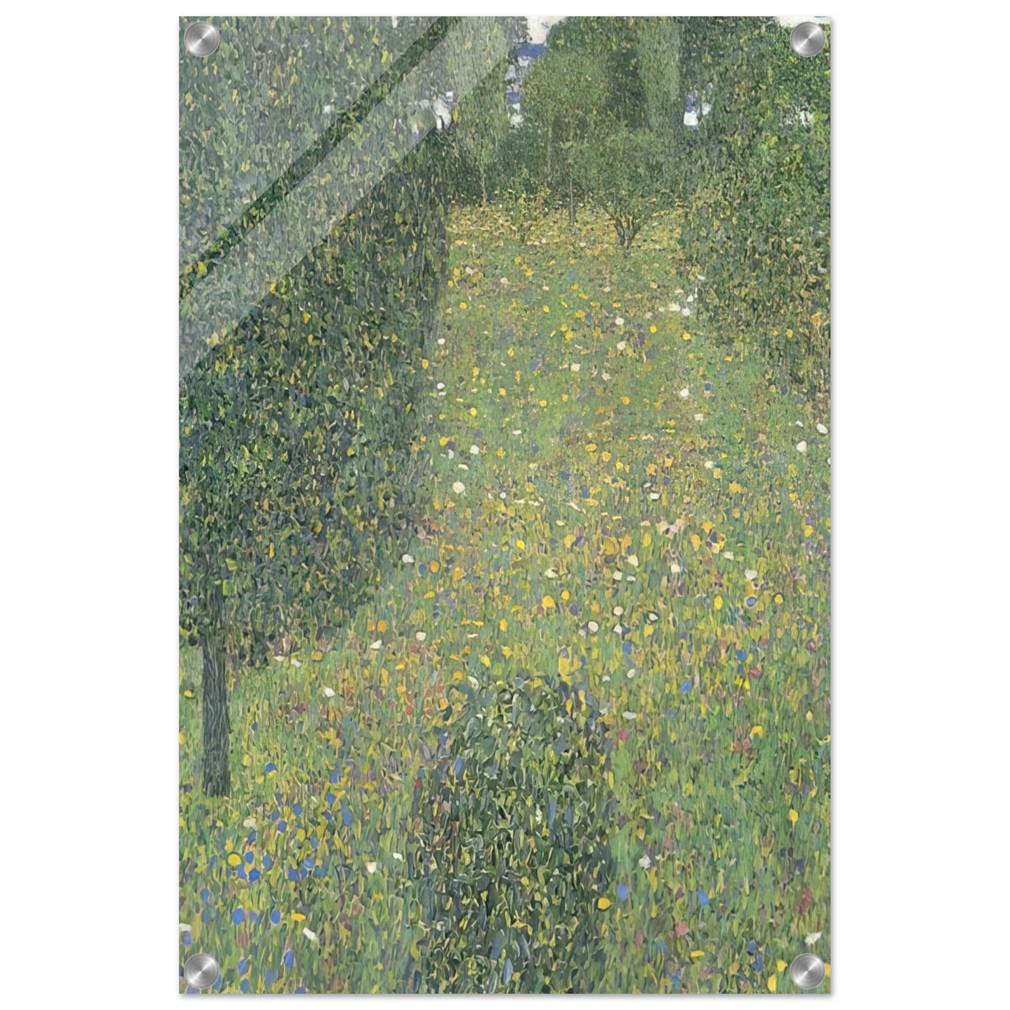 398c29c6-3ef8-4a29-a7cd-825d3242c97a