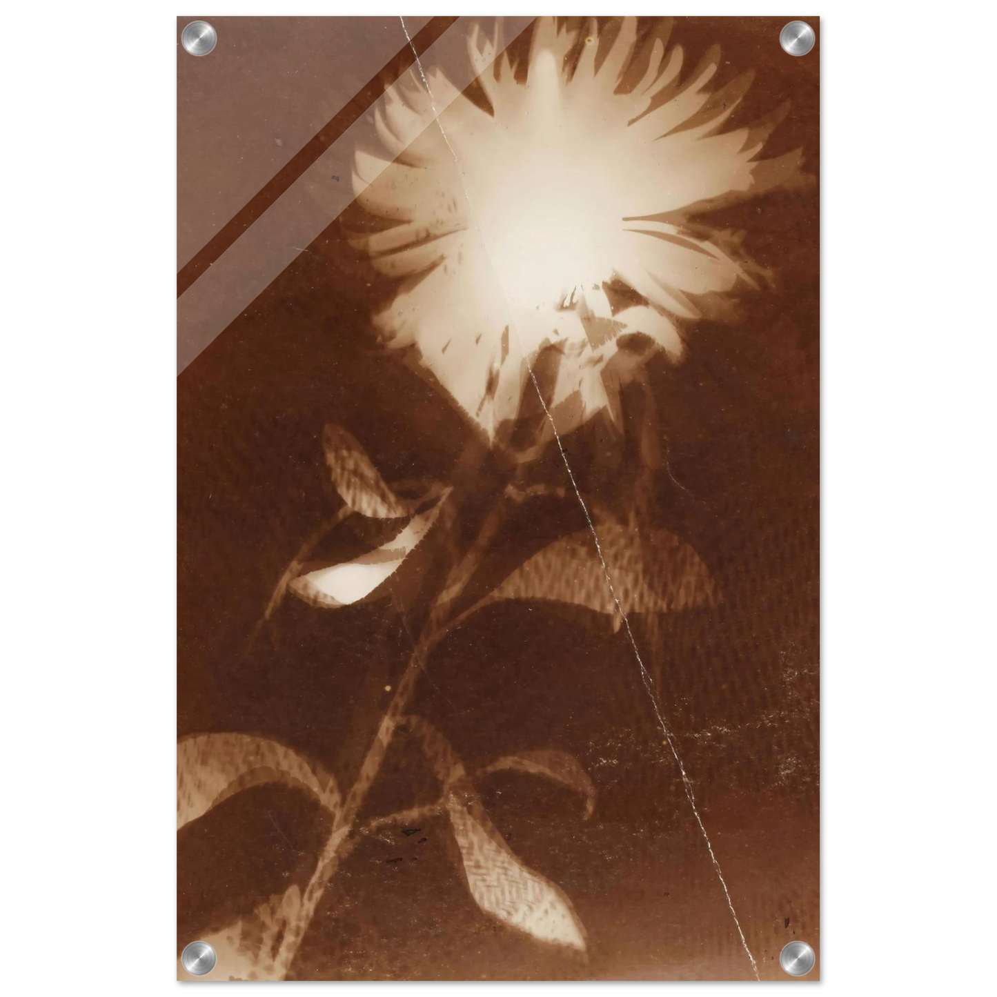 3f9d754f-dd28-46b9-b37b-0fde79f55b79