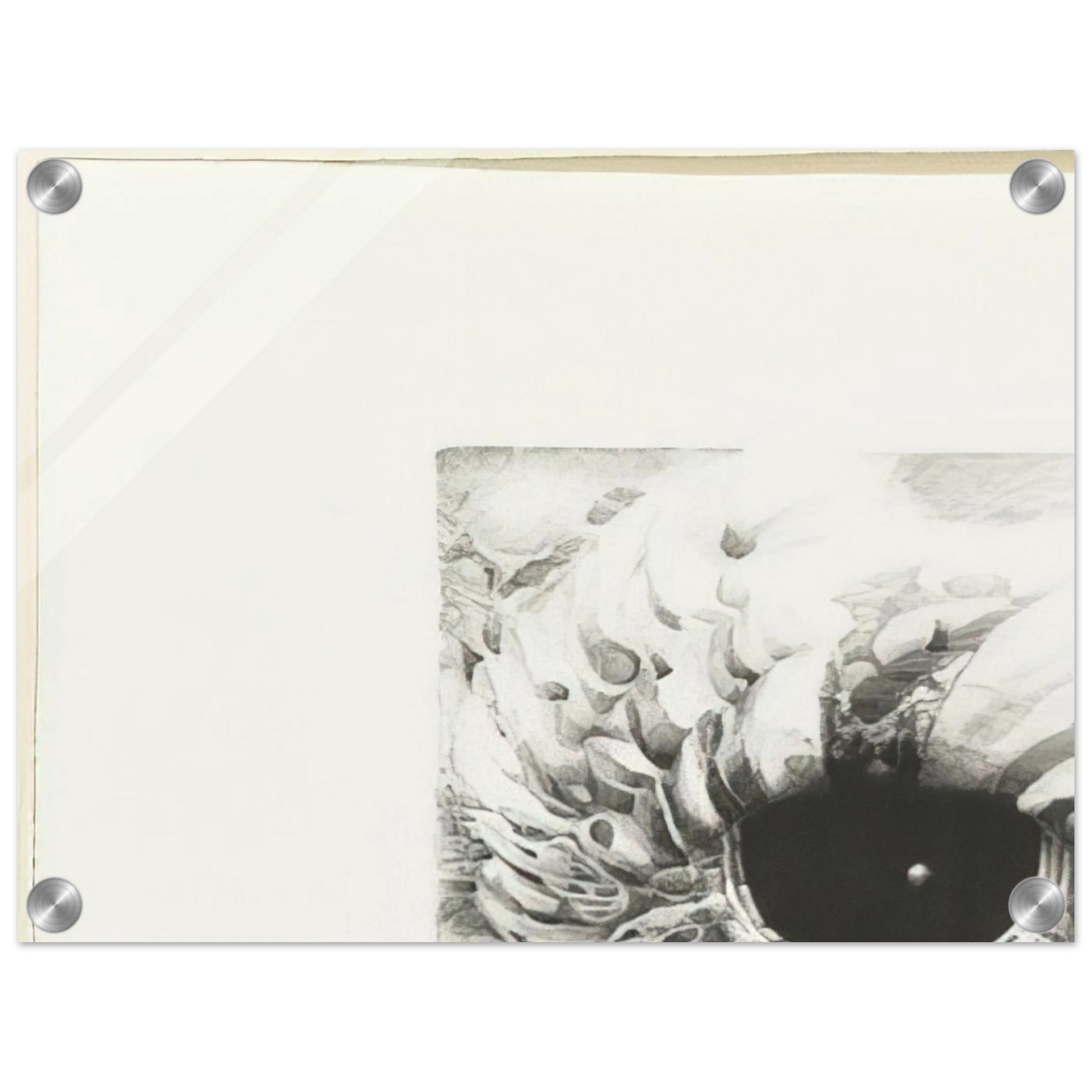 3fae69b3-427c-4d00-9898-7b14ddd9bf5a