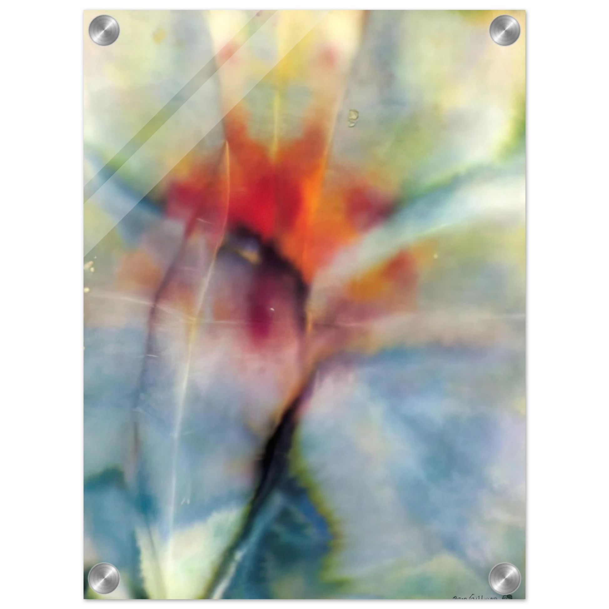 40136e33-6eee-4f36-a507-f603b9eeb1f1