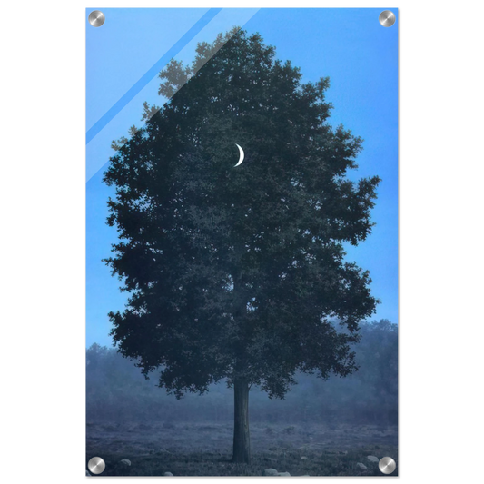 402db570-e179-4de0-ad69-e2ba75fe7065