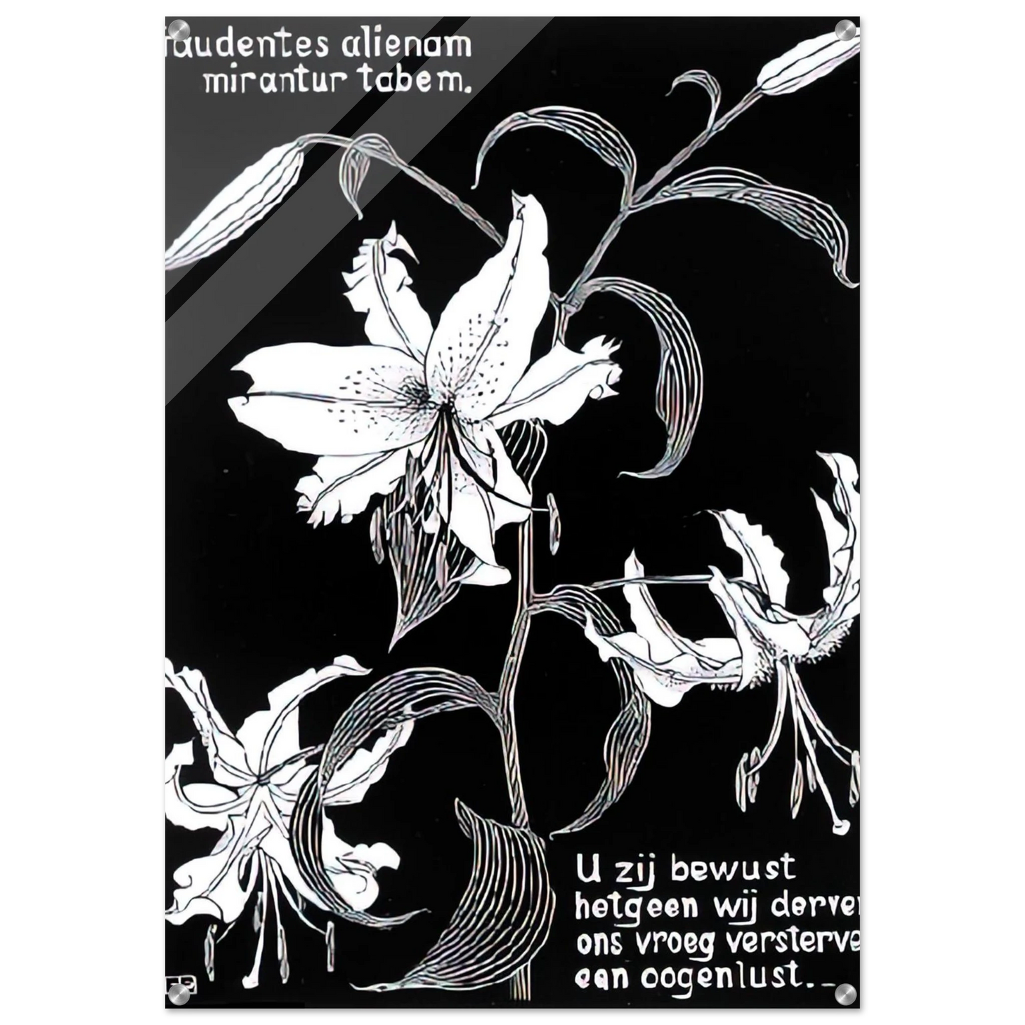 4047b8e7-5daa-43d1-ae62-370c8ae3ba95