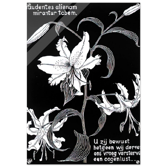 4047b8e7-5daa-43d1-ae62-370c8ae3ba95