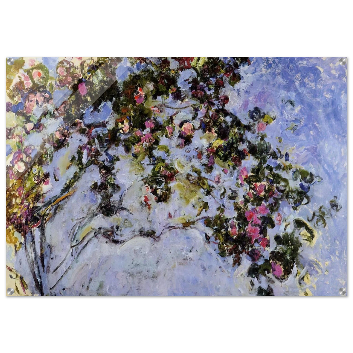 41bcbf81-1f2b-43c6-bd8c-c188ed4ea40b