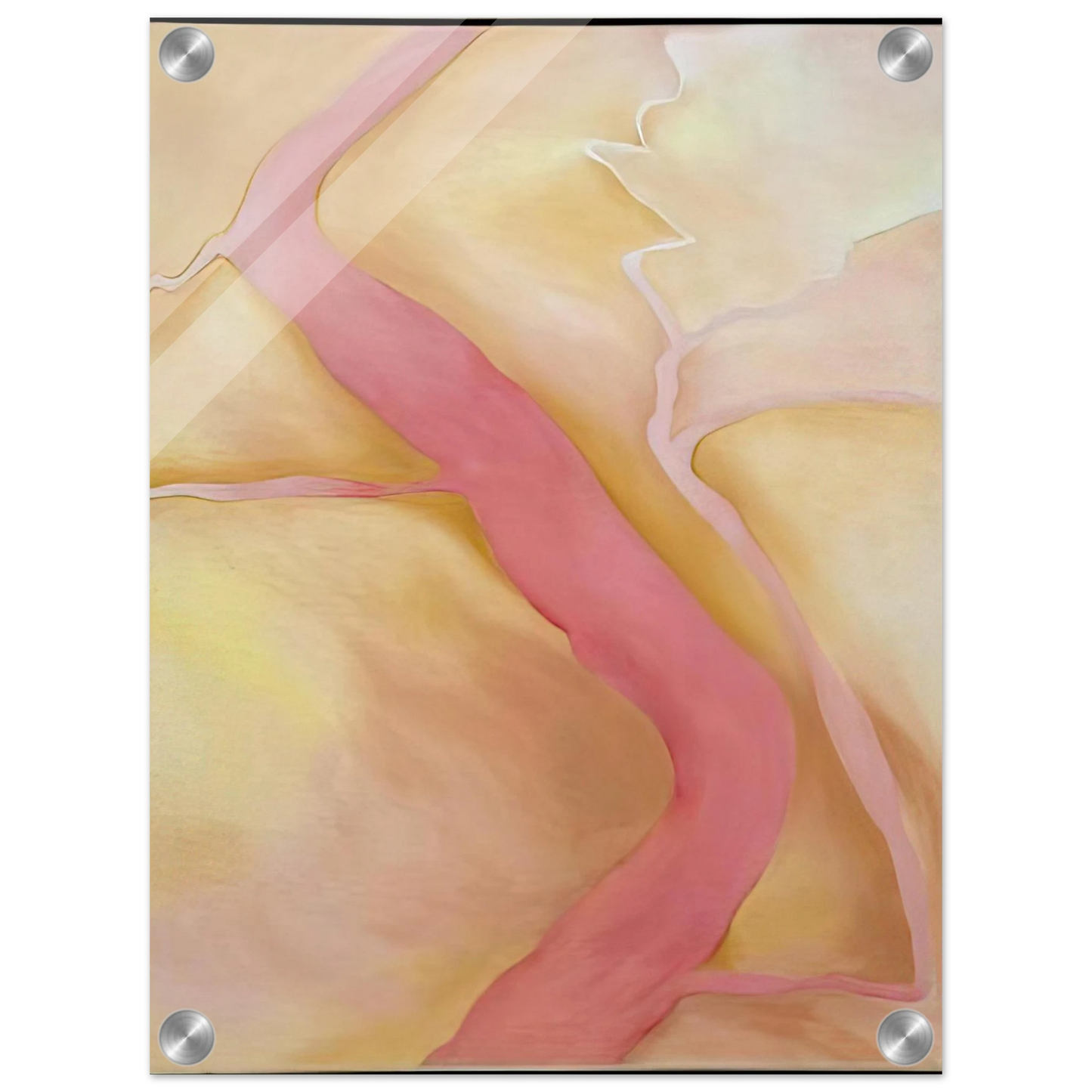 45d04f05-8b8f-4a67-9267-3422e2bf4aa9