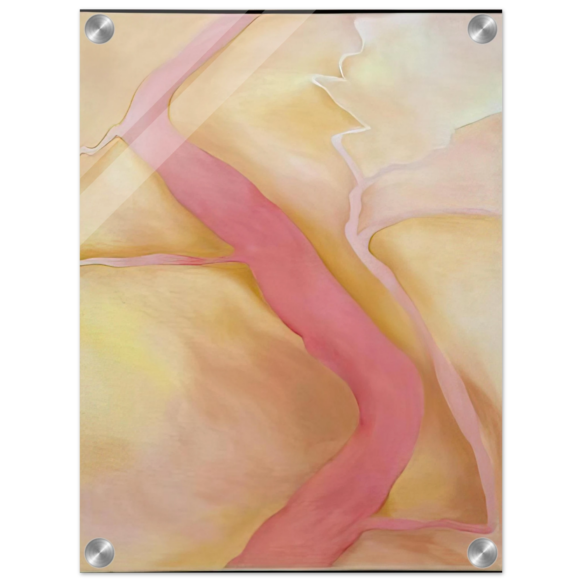 45d04f05-8b8f-4a67-9267-3422e2bf4aa9