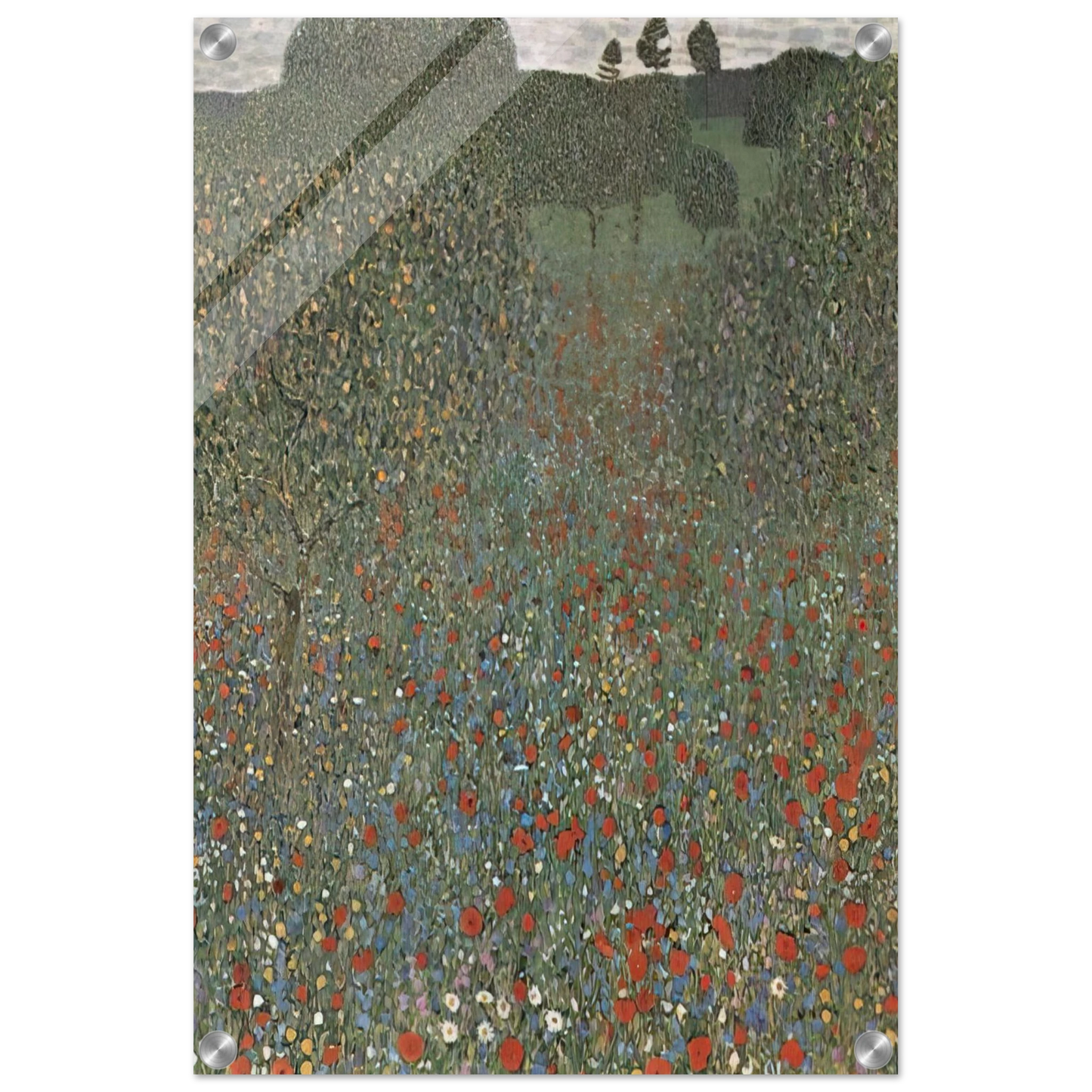 46a24049-7728-4360-871c-bf8c3ff8e293