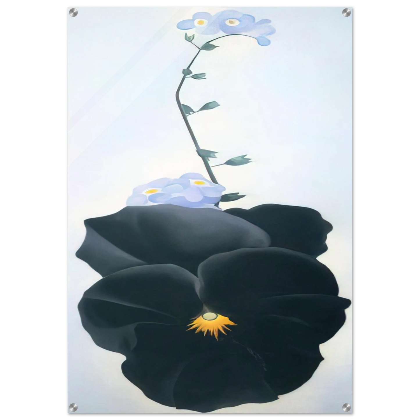 46d316f0-79b6-4e2a-bb4b-39fe2cd7385f