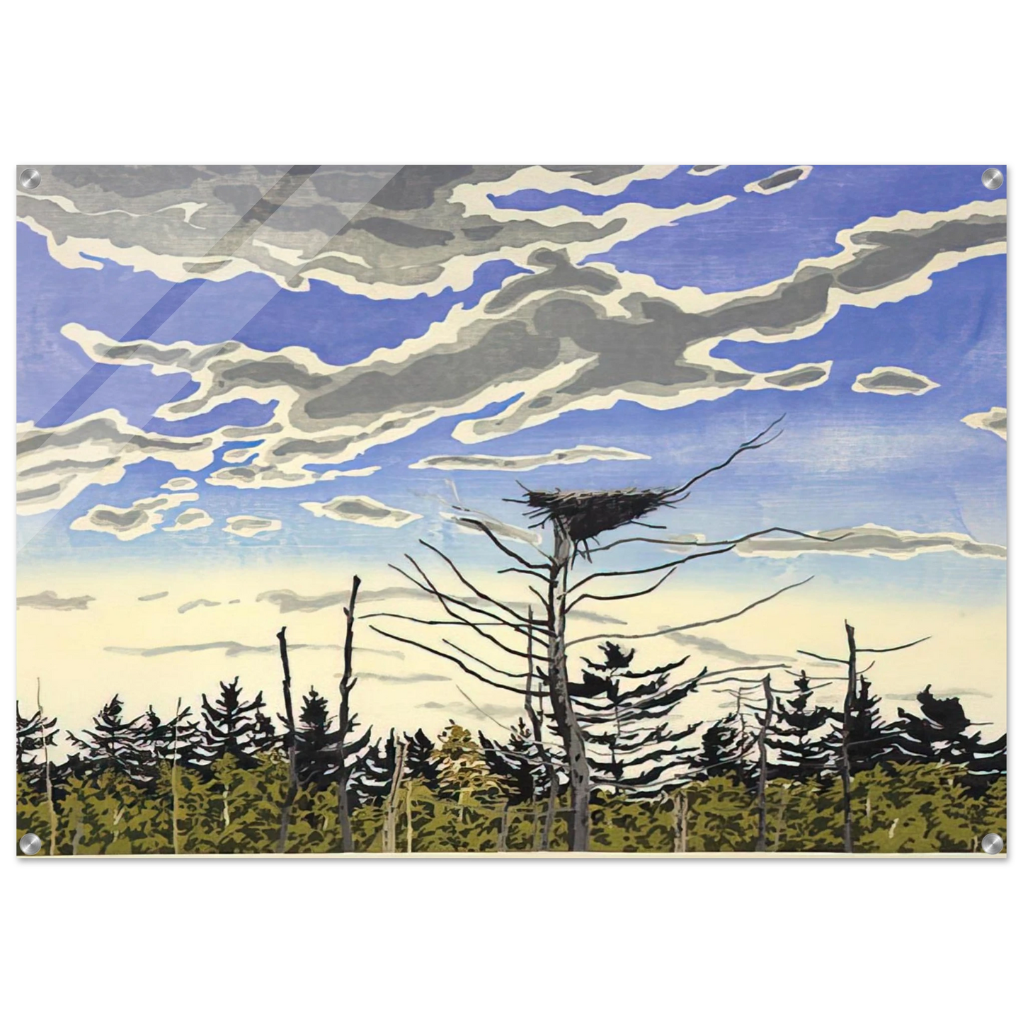 49134e0e-18d8-420b-bf9a-a69d2ed77140