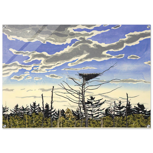 49134e0e-18d8-420b-bf9a-a69d2ed77140