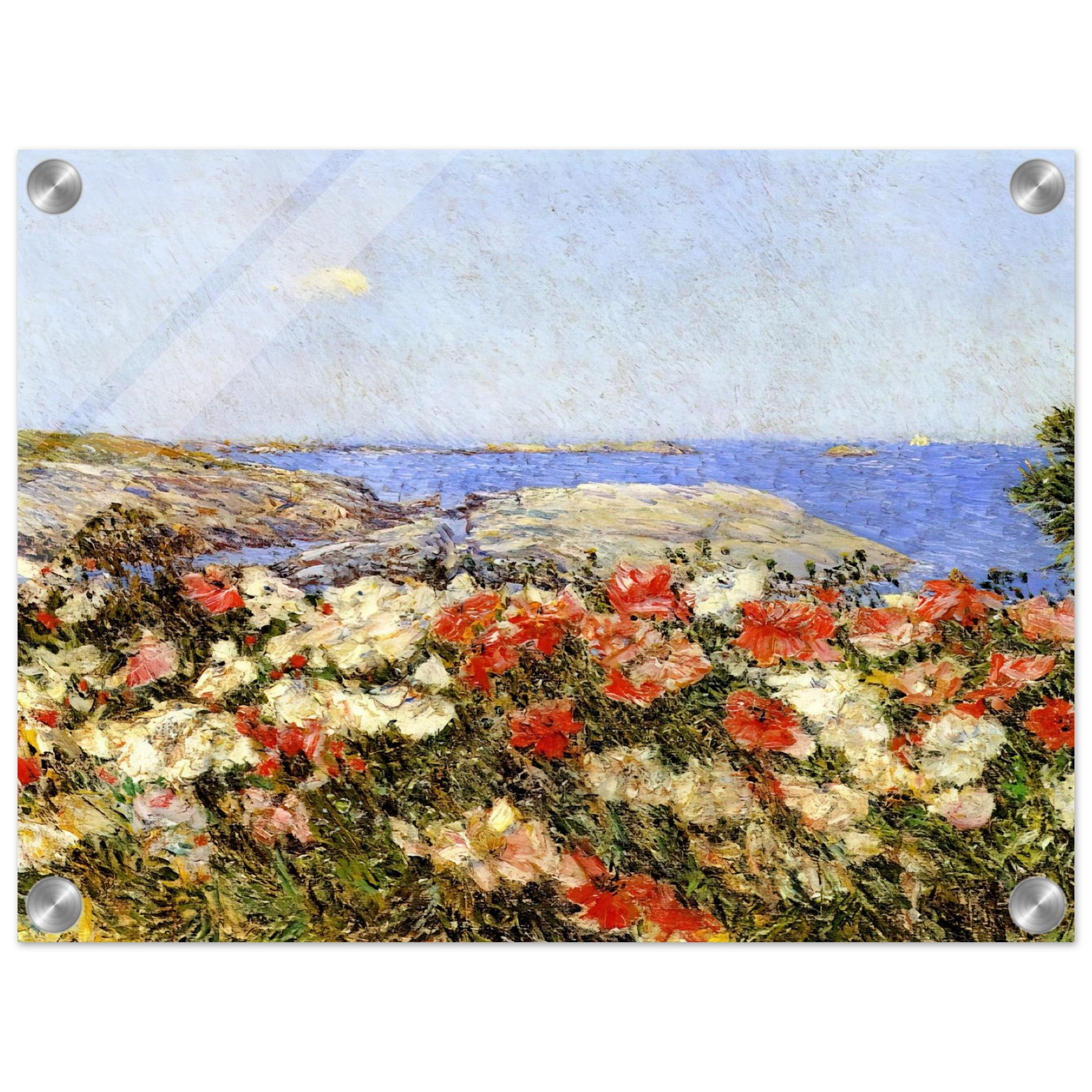 4bf5163c-512f-4b0f-8bf5-4e30cf72ba99