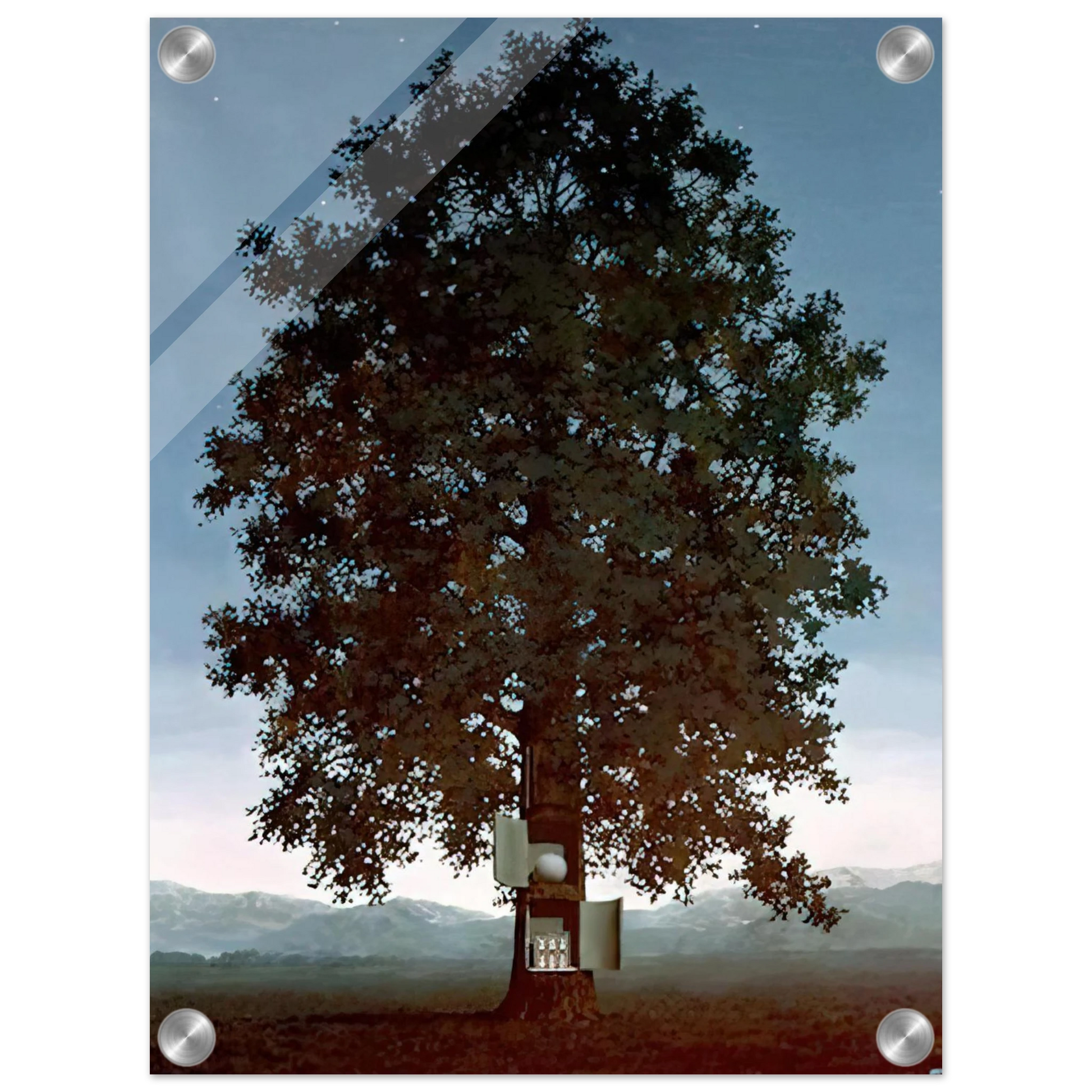 4c4398cc-79a0-405f-8a1e-81cef1a80146