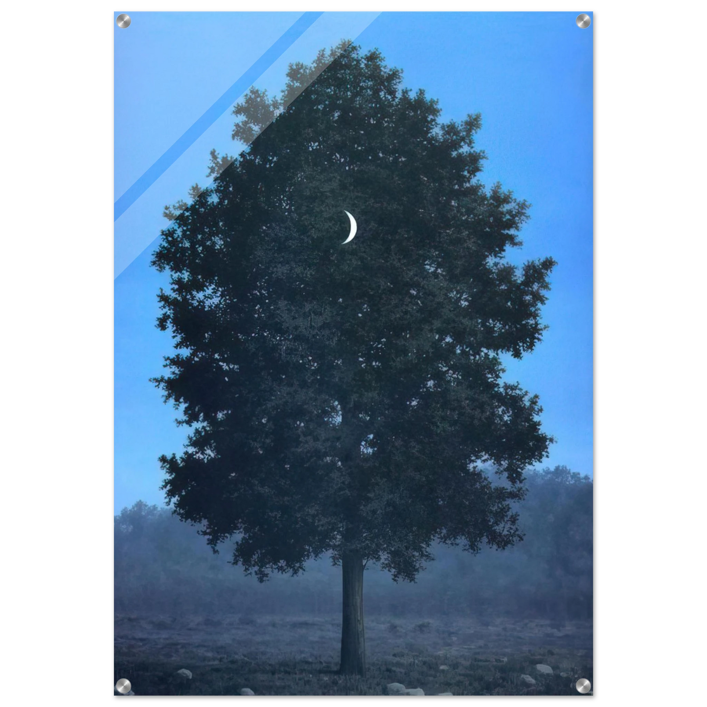 4c8338b4-8a9a-453a-a820-2fa88e040cf6