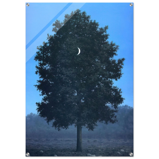 4c8338b4-8a9a-453a-a820-2fa88e040cf6