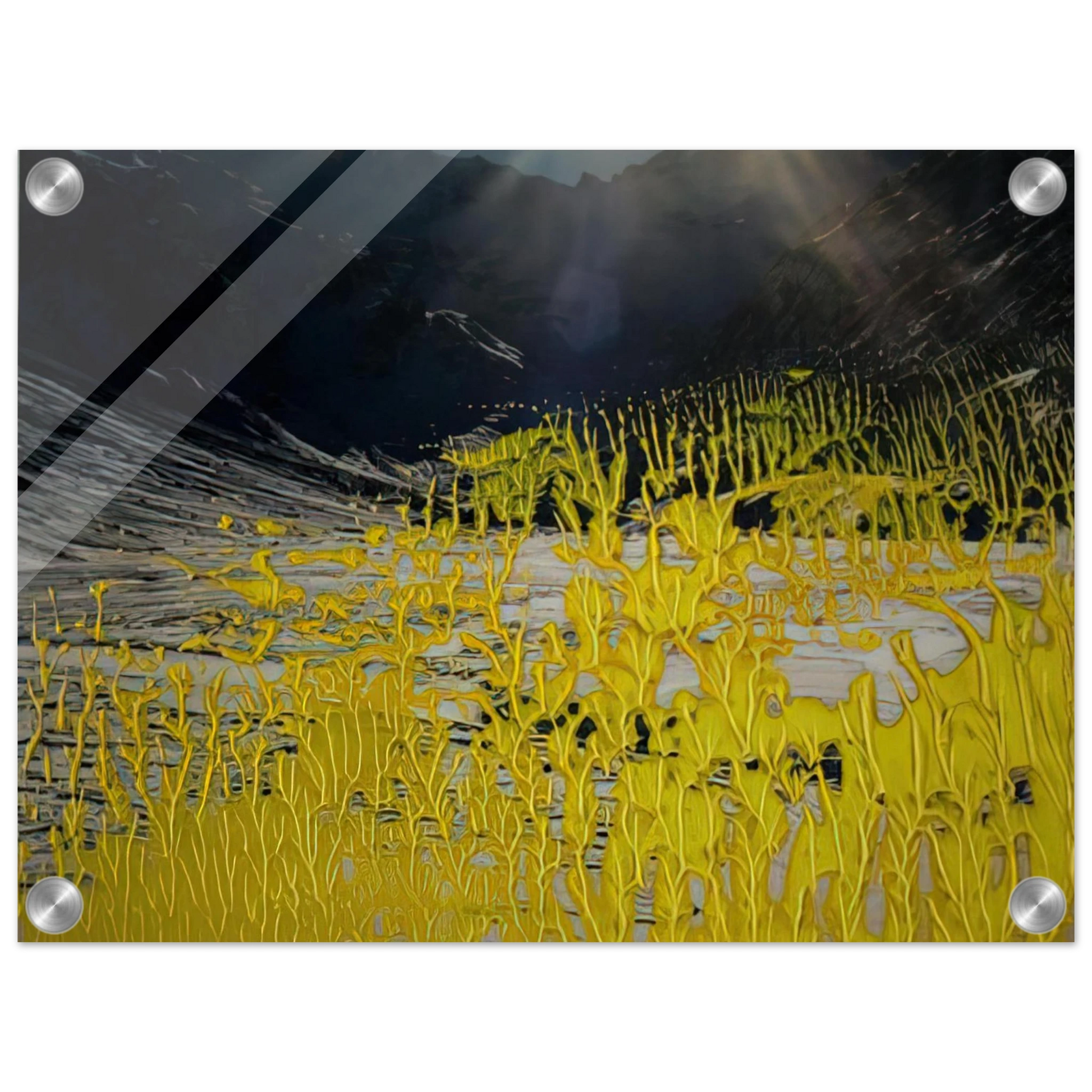 4fc4034d-3333-41f0-915c-8c1b8255a686