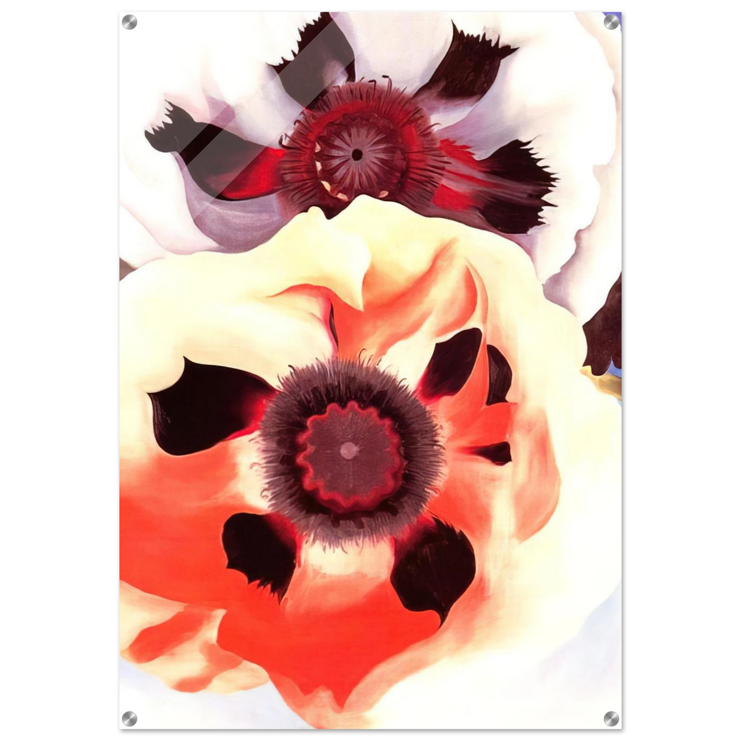 5005d21b-dfce-459f-aceb-8a051b1fa246