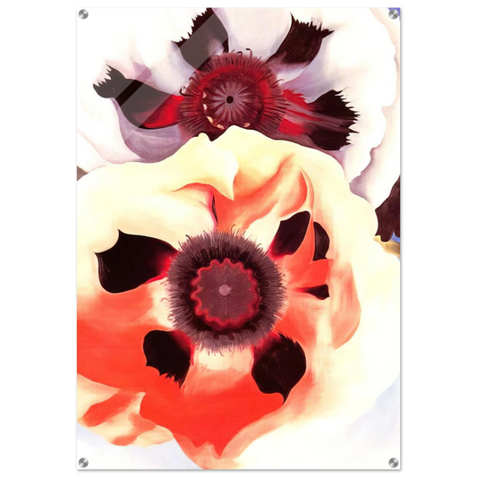 5005d21b-dfce-459f-aceb-8a051b1fa246