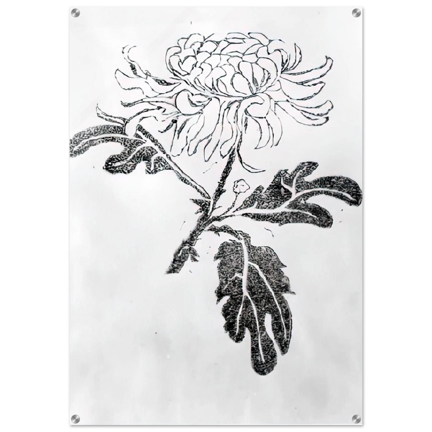 50d20452-1e82-4553-a5ae-6959580f7bc6