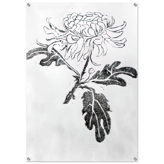 50d20452-1e82-4553-a5ae-6959580f7bc6