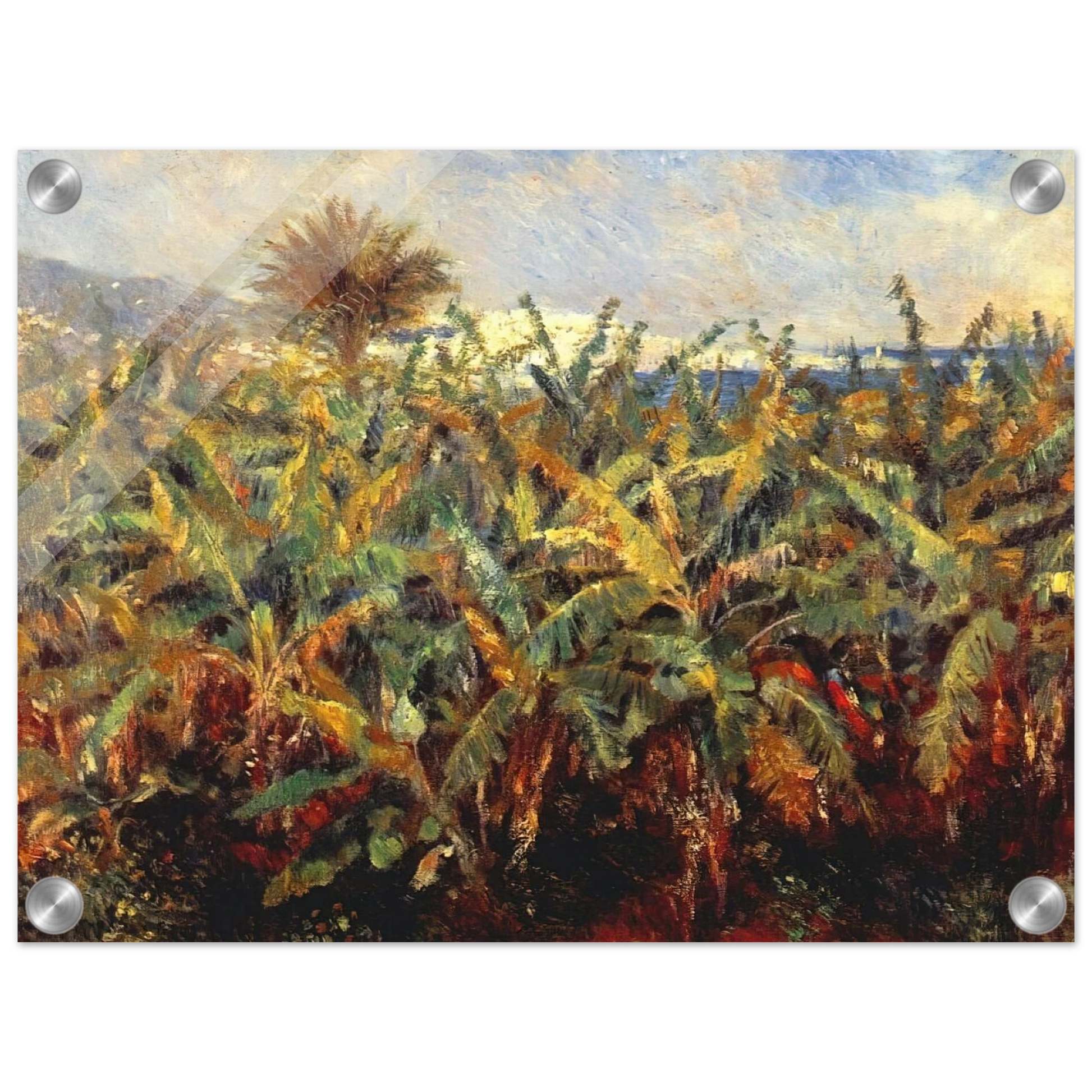 51216918-afa6-4ba1-86ac-d9a63cb1d254