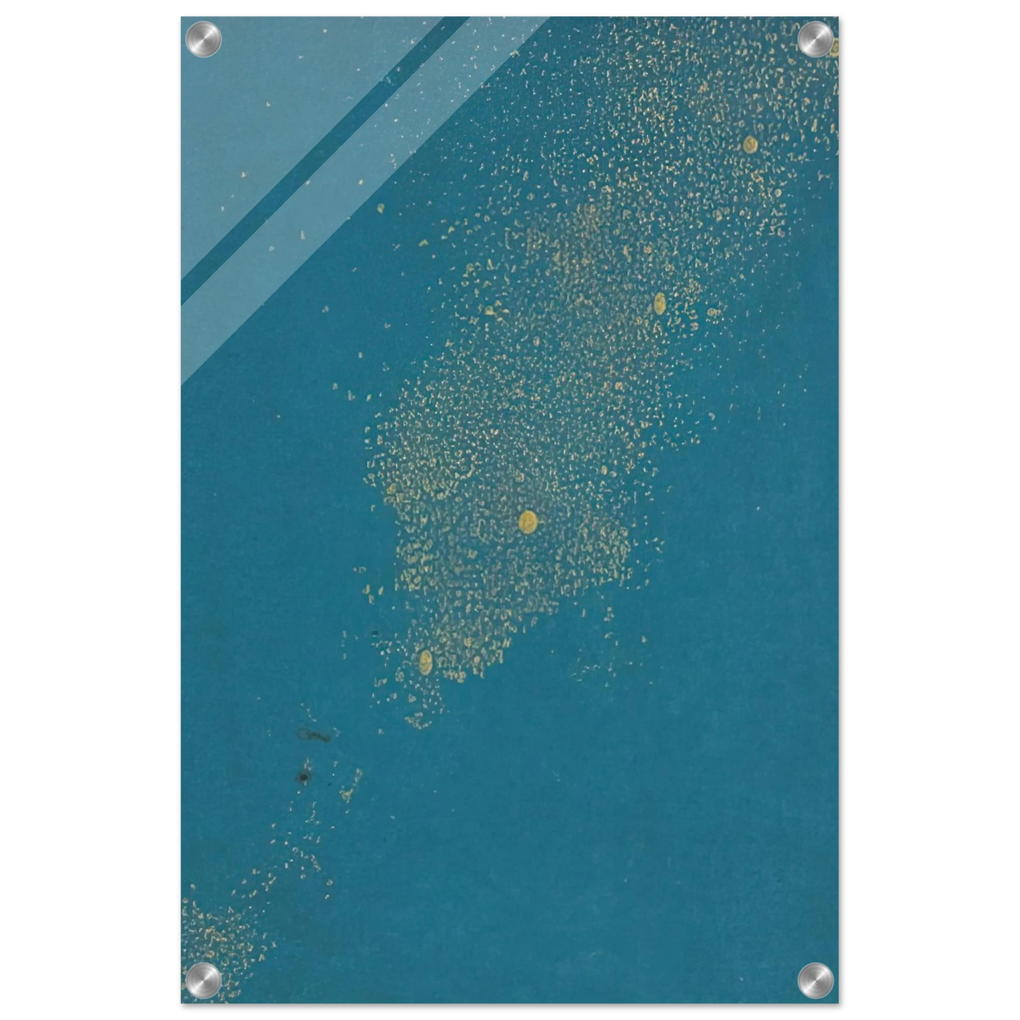 51b98cff-dbf5-4288-b78e-d42a6b7fcca7