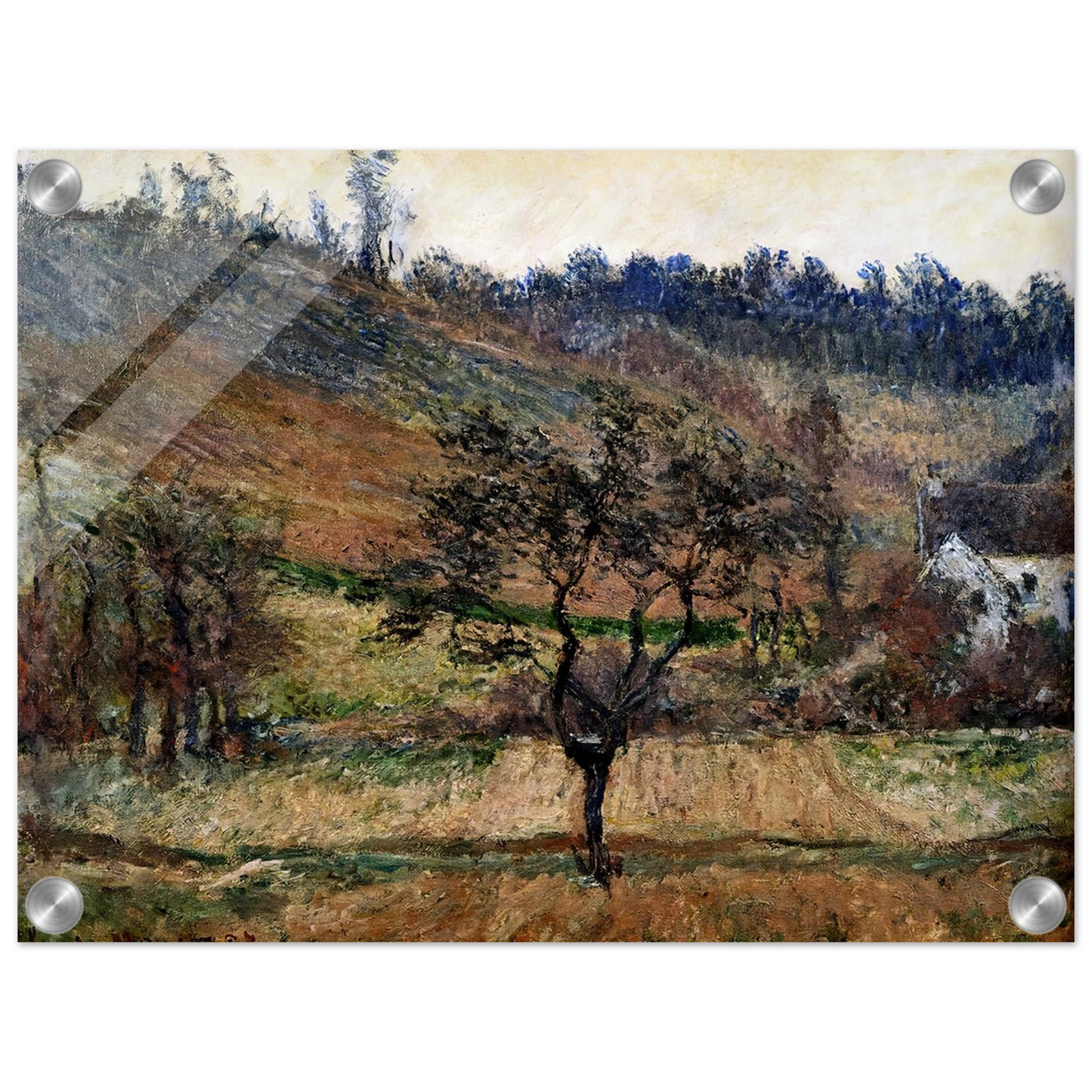 52772d55-9a1c-4a26-aa25-d026f8e3592f