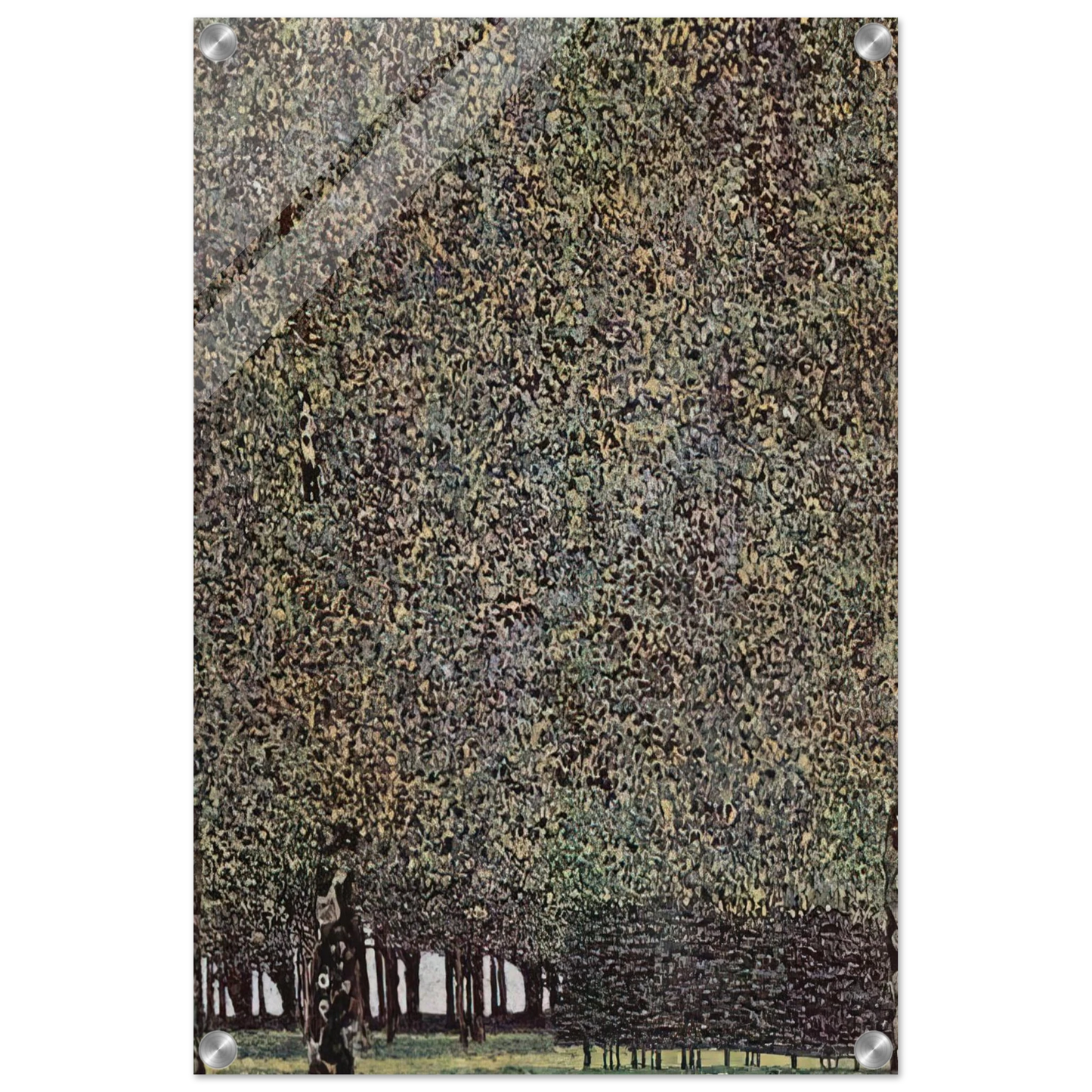 53a03759-b39c-46c4-8100-5c81e1927ed0