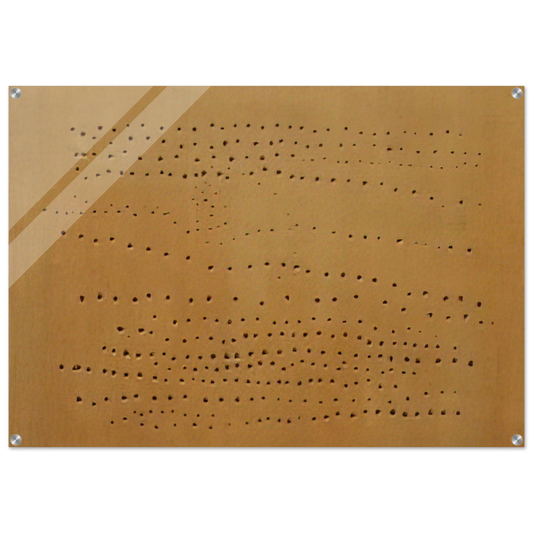 5428cfc6-3584-4307-a3d9-ddcbe4de997f