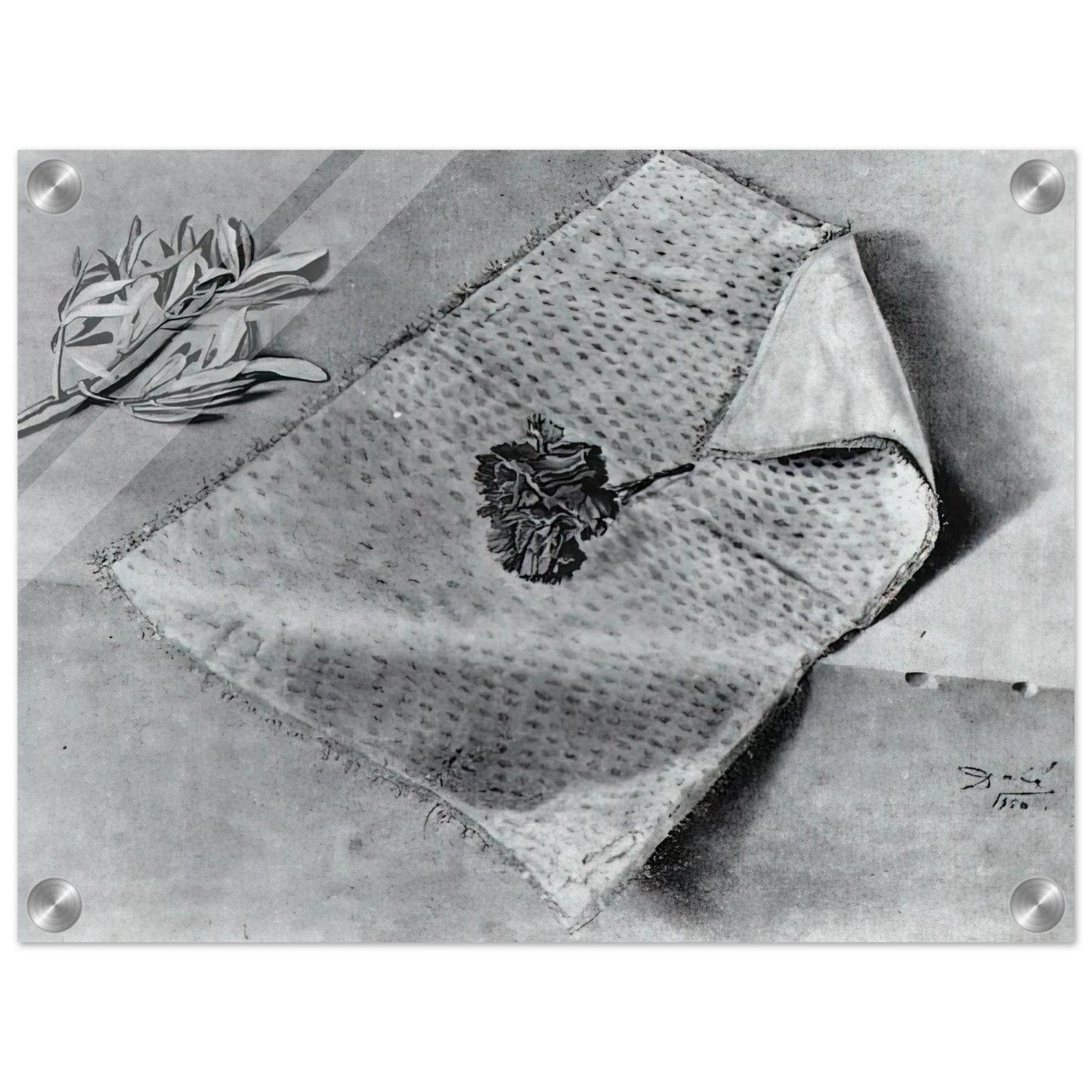 550943a4-0fe7-415f-b7d6-87a5fcd16704