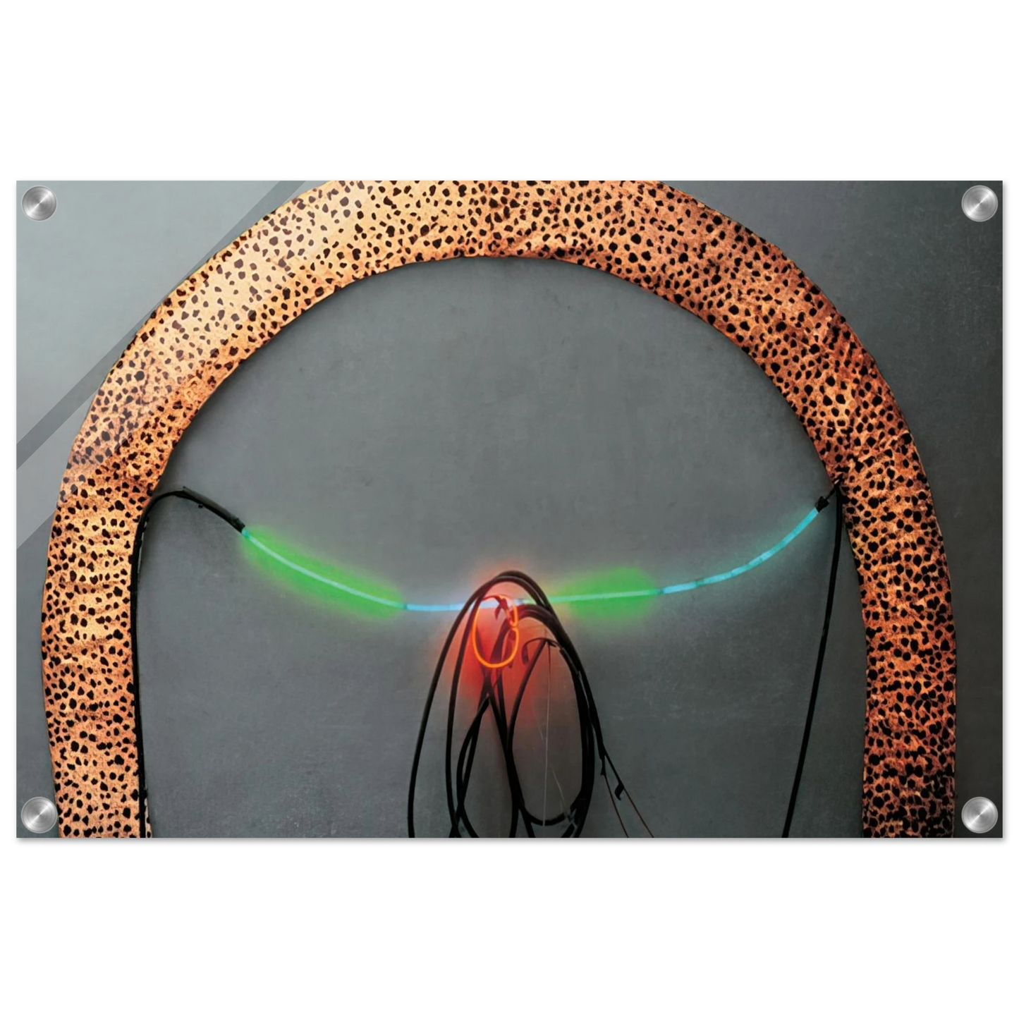 5569db60-0d22-49e7-8600-e01a1e5f91ab