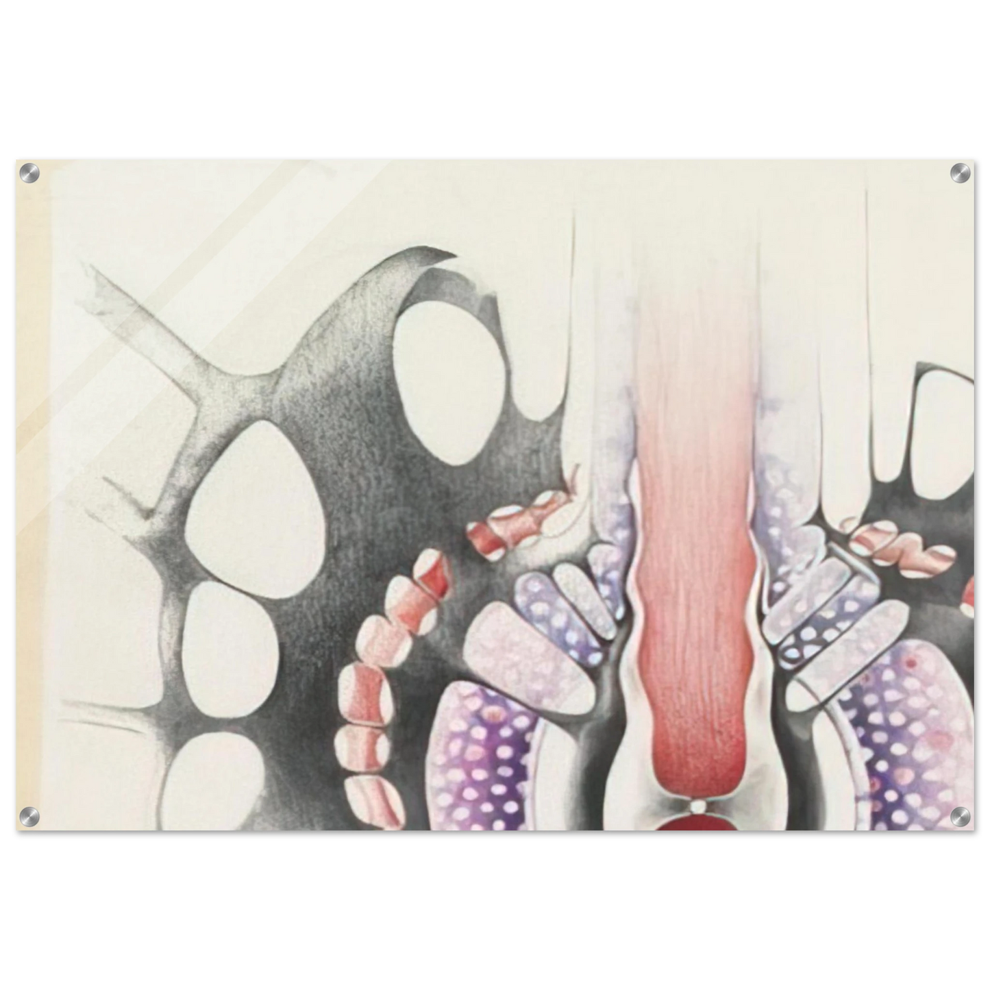 574e7443-5feb-4911-92df-2270c96ec472