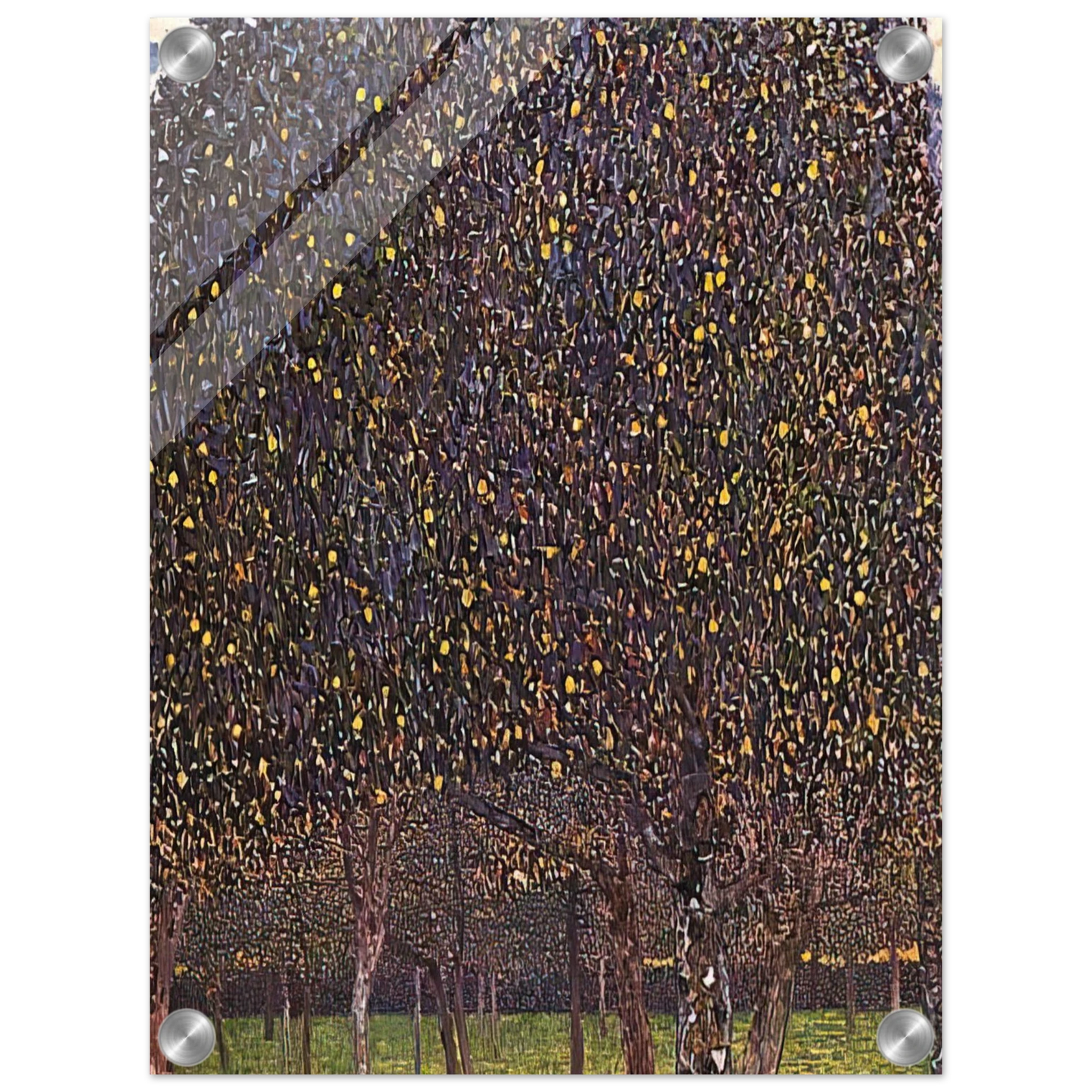 5766af48-859e-45be-8161-0c4d9a6cfbcd