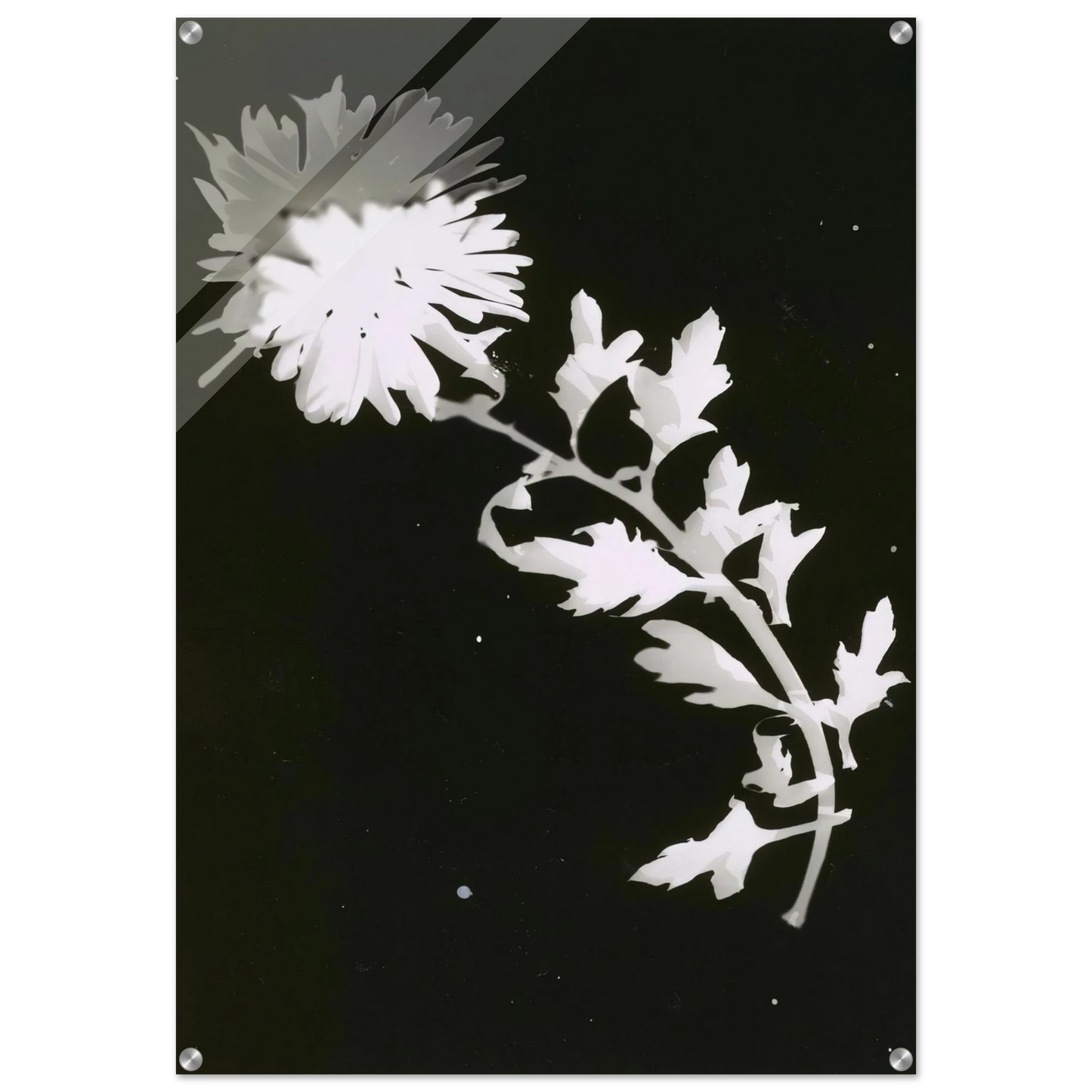 596e5387-254a-461e-988a-ea07b9b92908